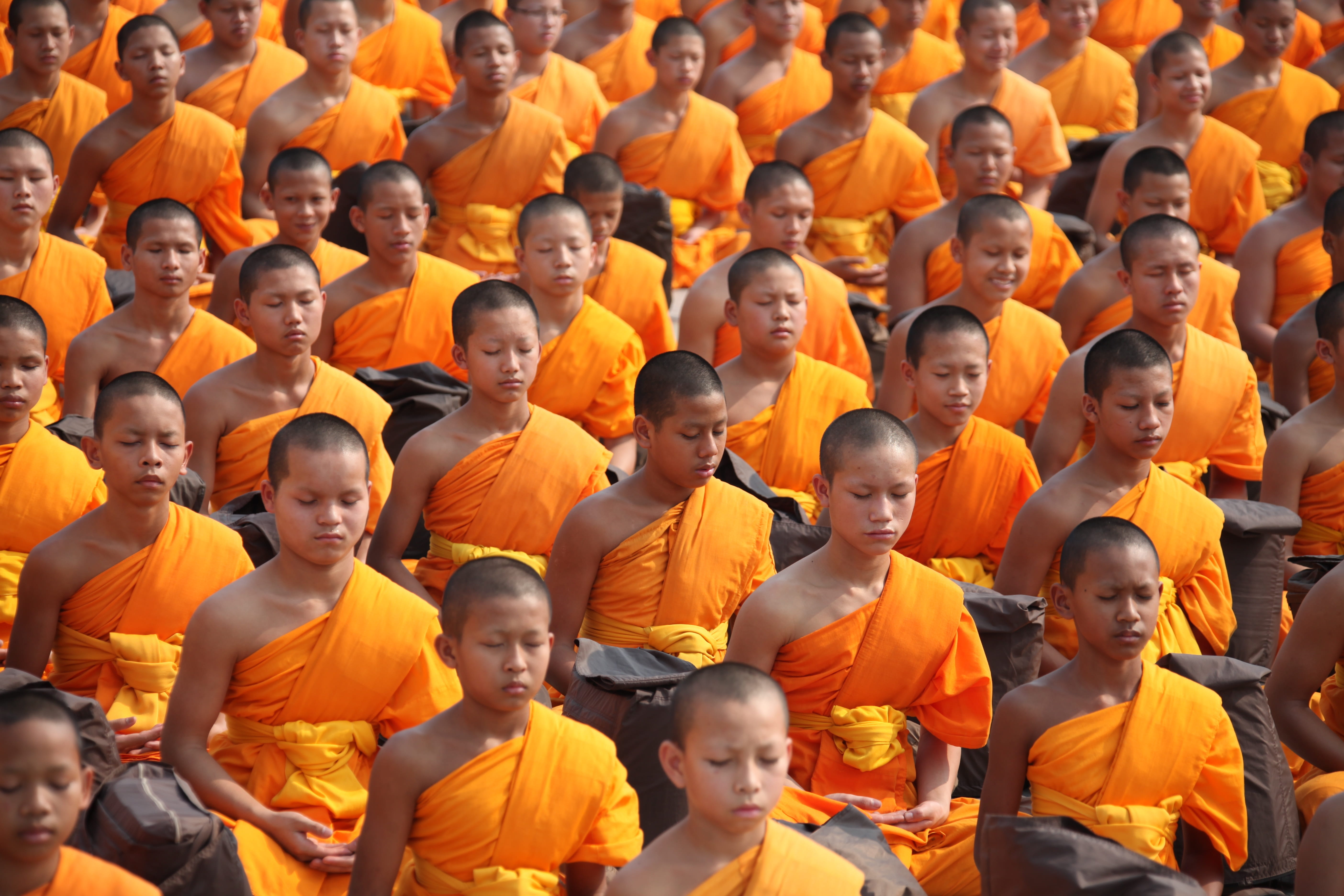 robes, budhas, stadium, gold, festival, 5K, seat, sport, thai, people, sitting, thailand, child, children, temple, meditate, phra dhammakaya, dom, prayer, HD Wallpaper