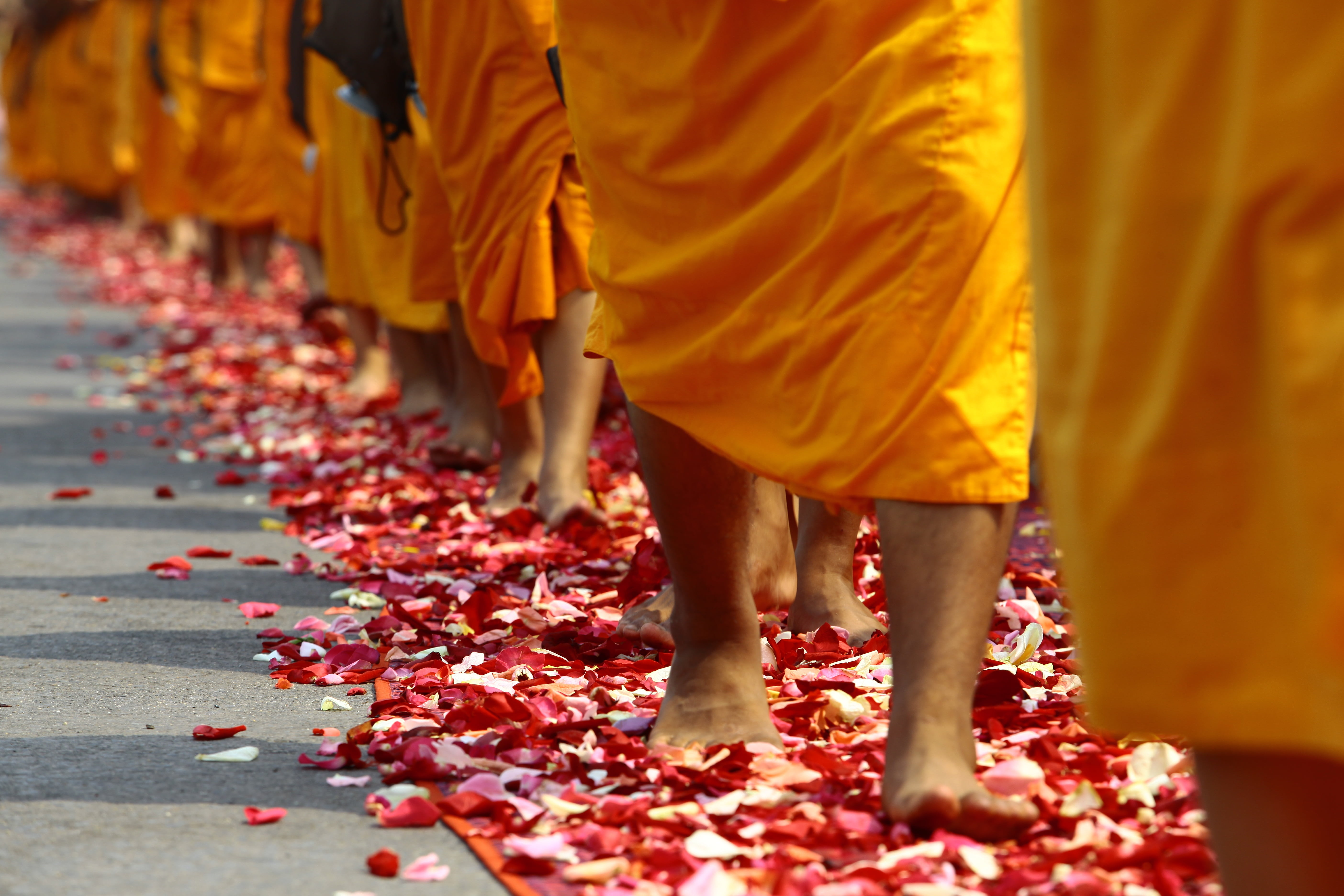 thai, more than, low section, ceremony, belief, nature, yellow, leaf, religion, asia, plant part, clothing, gold, million, stepping, phra dhammakaya, human leg, HD Wallpaper