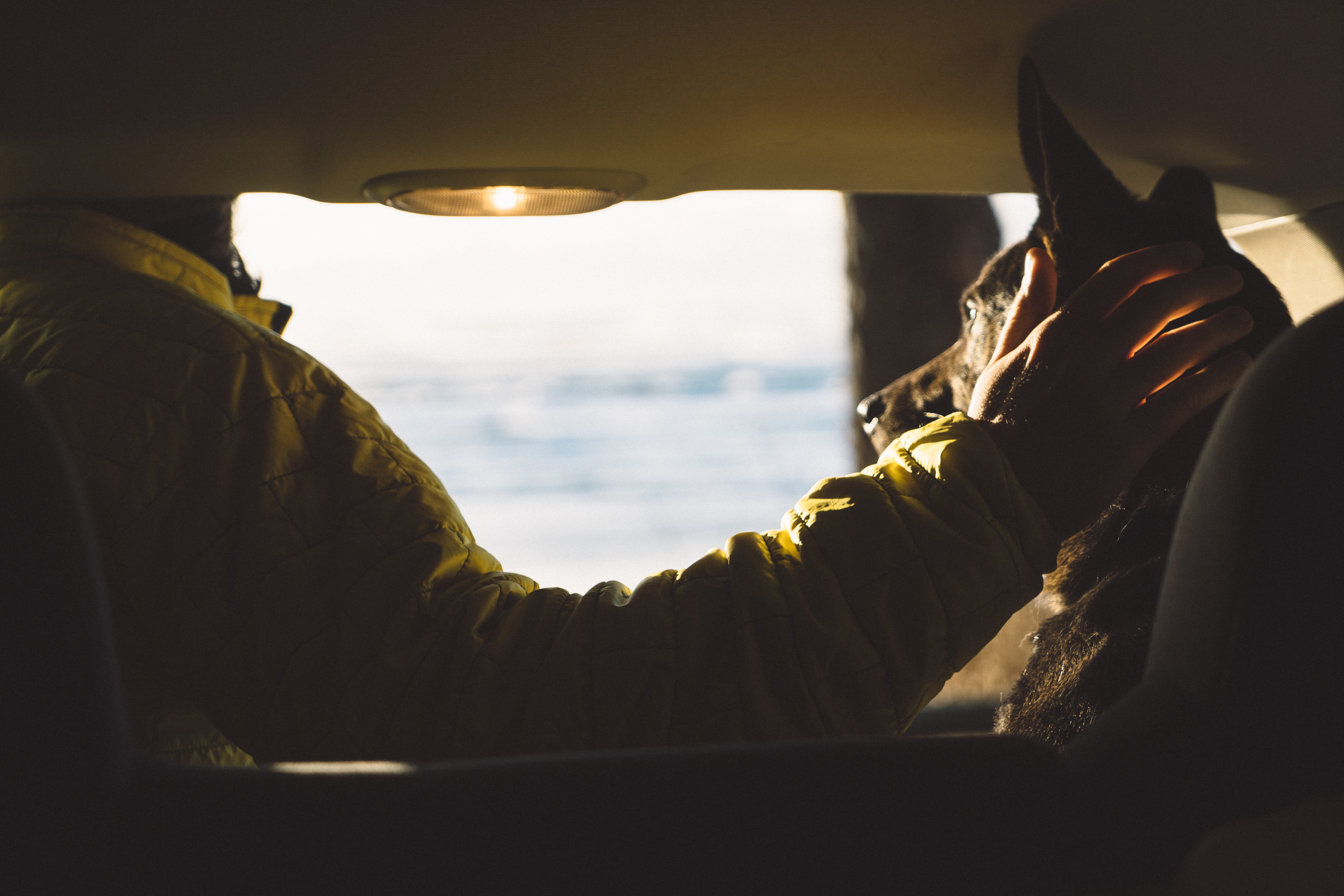 road Trip, dim, 5K, leisure activity, vehicle interior, two People, holding, travel, inside, driving, adult, vacations, mode of transportation, caucasian Ethnicity, HD Wallpaper