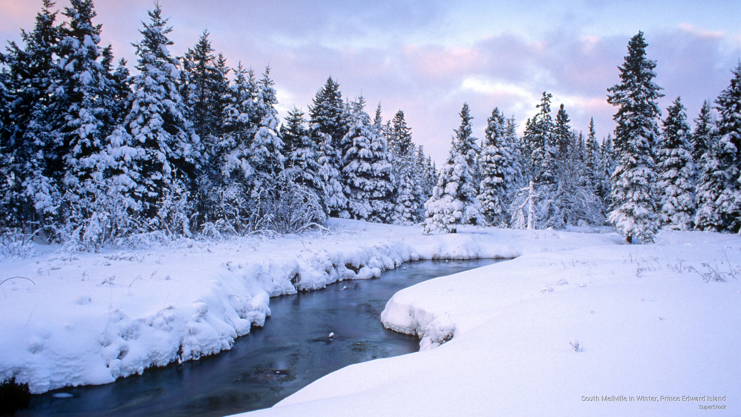 mellville, Winter, 2K, island, edward, south, prince, HD Wallpaper