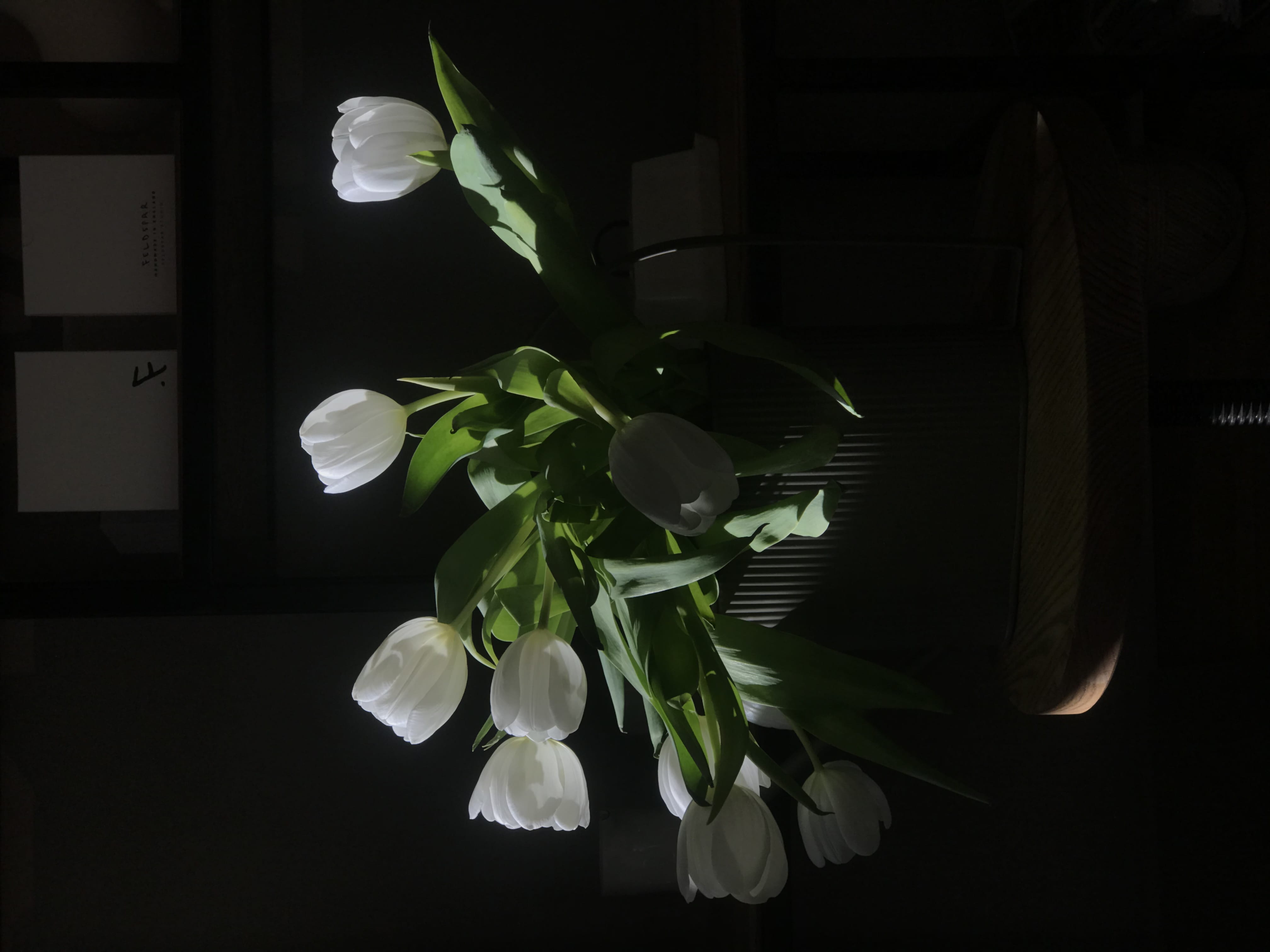 flower, white, flowers, flooring, flower arrangement, petal, fragility, blossom, flower head, interior design, art, plant, beauty in nature, ornament, tulips, HD Wallpaper