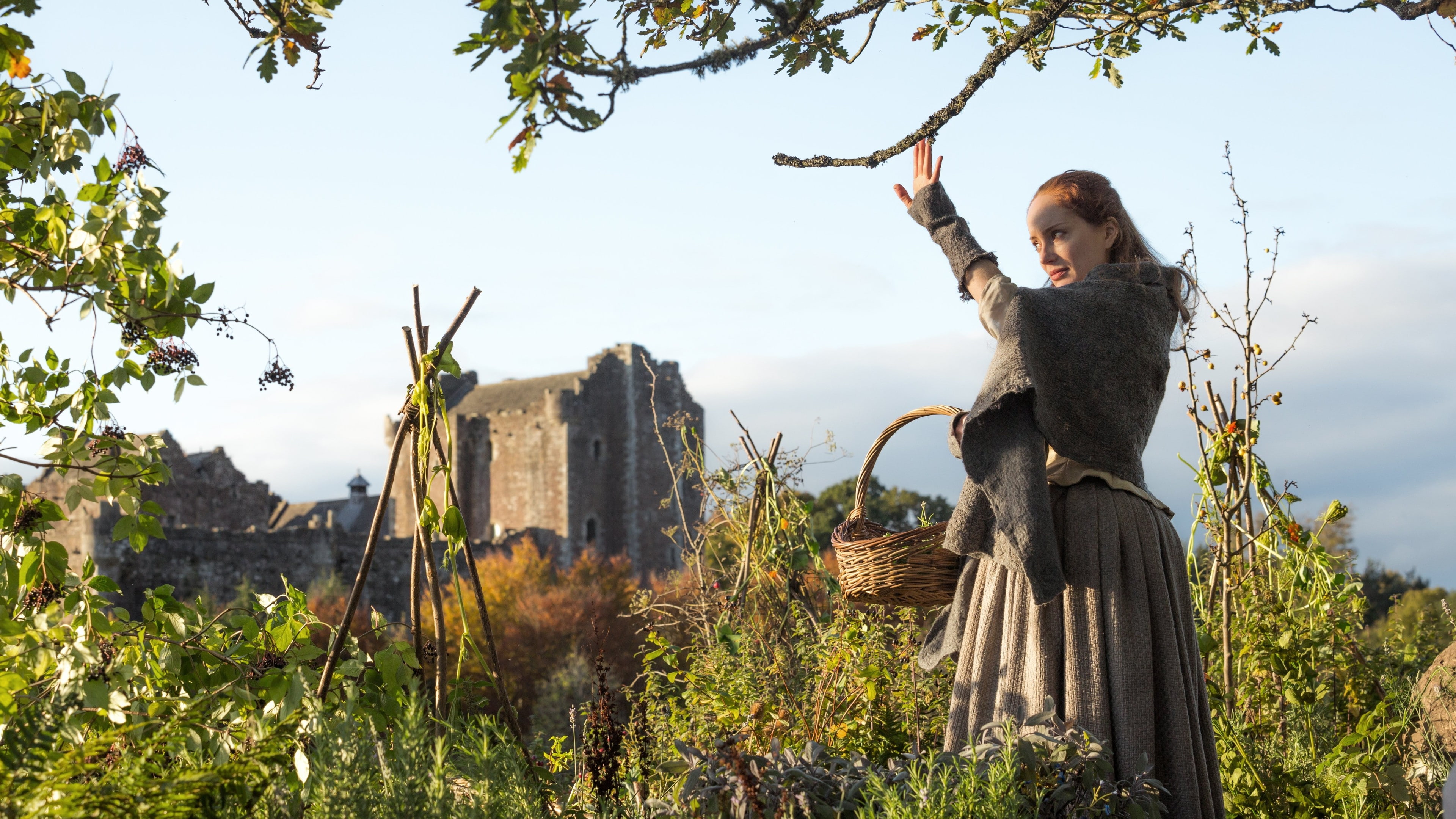 plant, Sam Heughan, human representation, growth, statue, belief, TV, built structure, building exterior, outdoors, low angle view, sculpture, sky, art and craft, HD Wallpaper