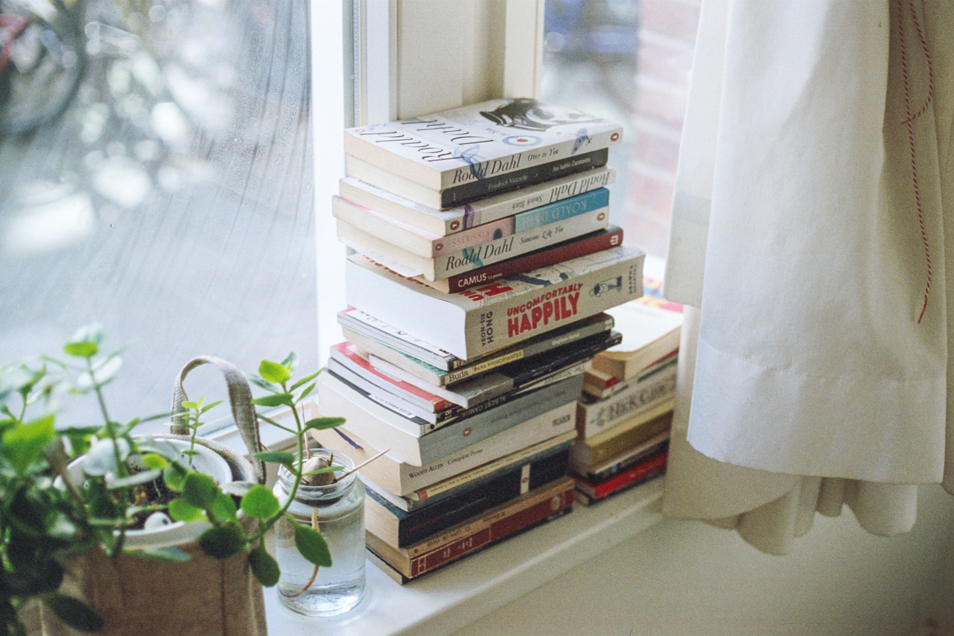 decoration, lot, book worm, heap, literature, education, window ledge, shelf, indoors, no People, backgrounds, house, curtain, light, window, title, bookshelf, HD Wallpaper