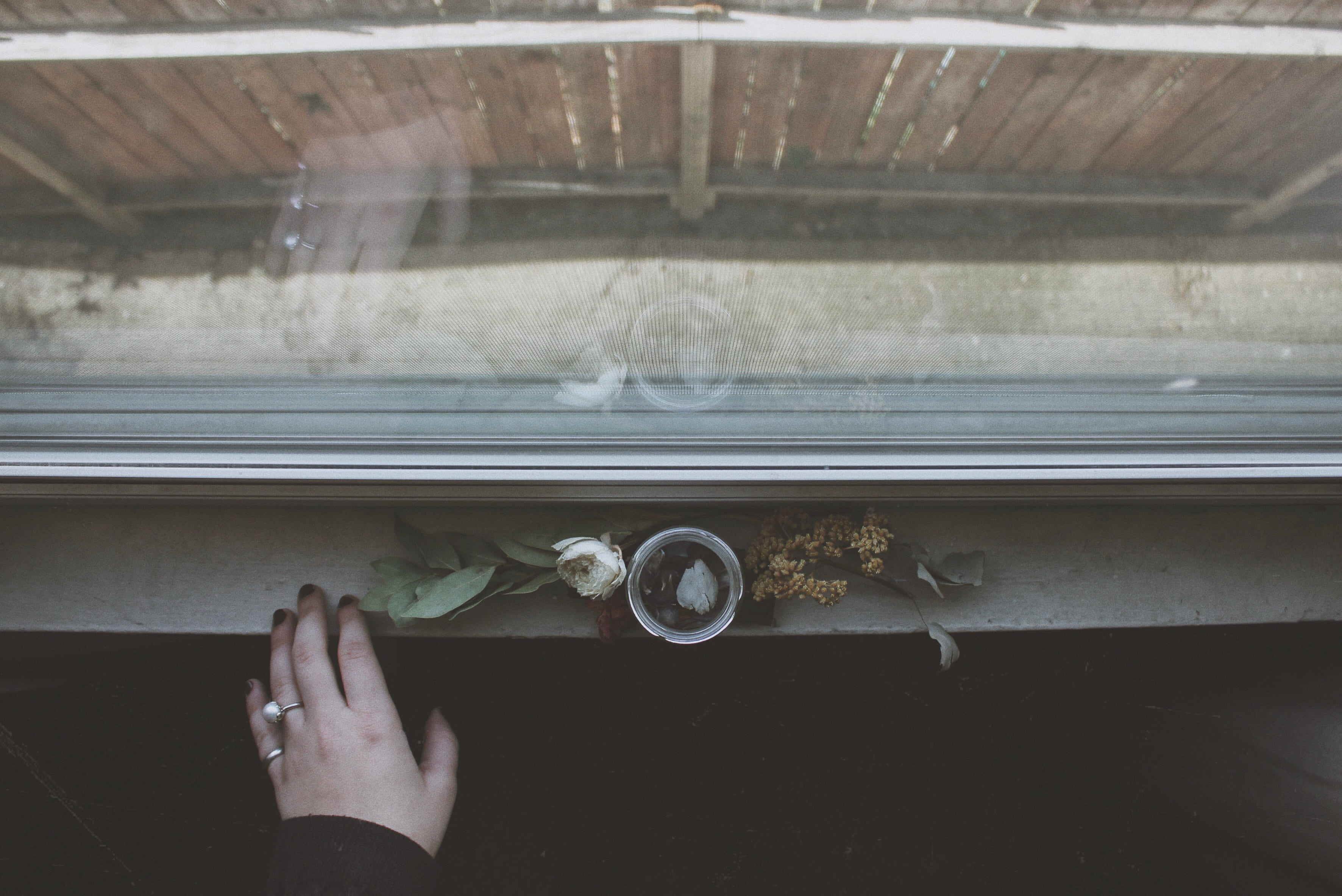 photography, drinking, front, adult, human body part, transparent, daytime, flat, real people, ledge, directly above, window, person, windowsill, indoors, HD Wallpaper