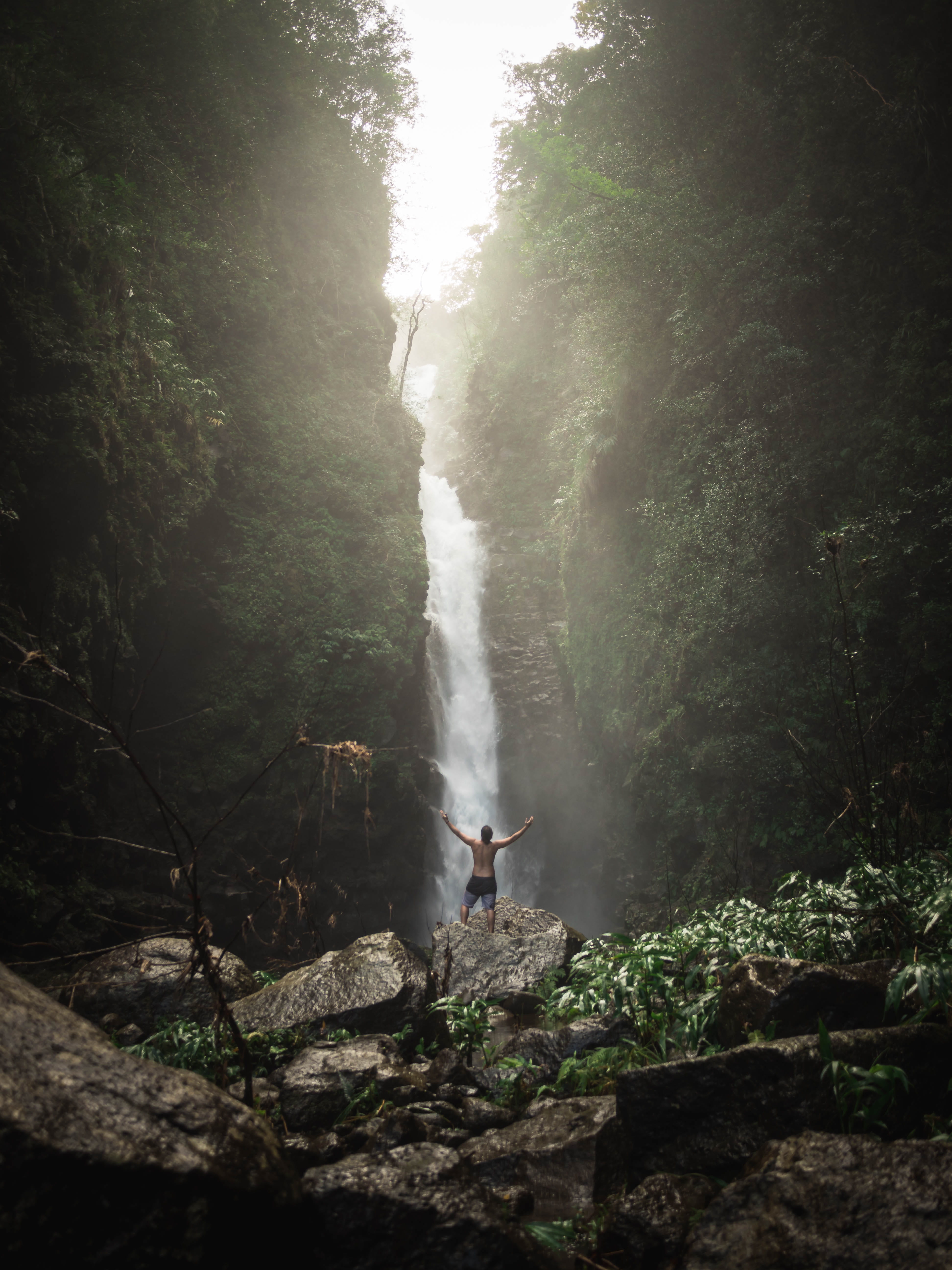 tree, forest, flowing, motion, real people, nature, land, water, weather, vegetation, flowing water, rainforest, man, rock, river, standing, beauty in nature, Phone HD Wallpaper