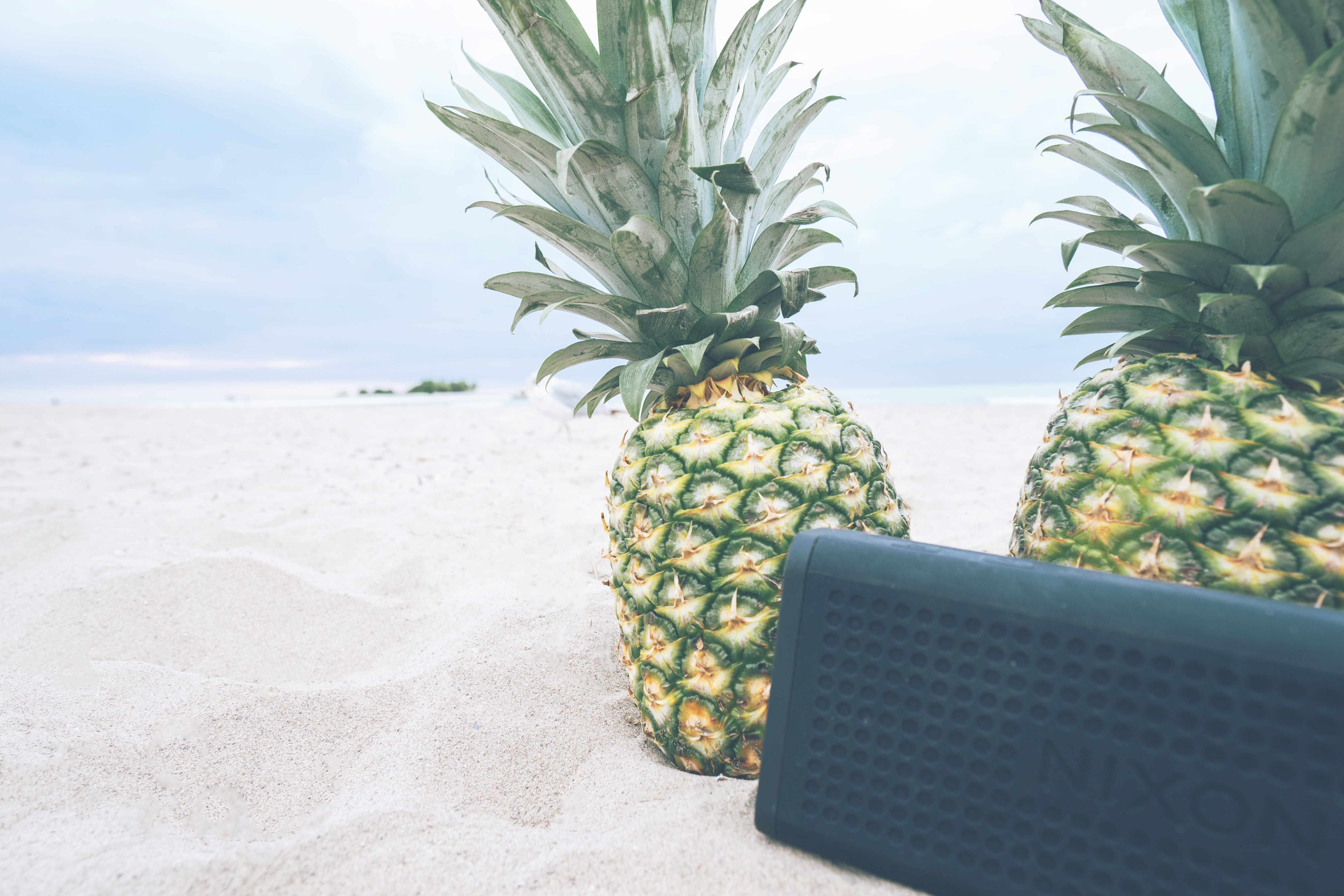 tropical, outside, seagull, near, pineapple, plant, anana, beauty in nature, fruit, 5K, food, box, sand, outdoors, music, outdoor, bluetooth, rectangular, HD Wallpaper
