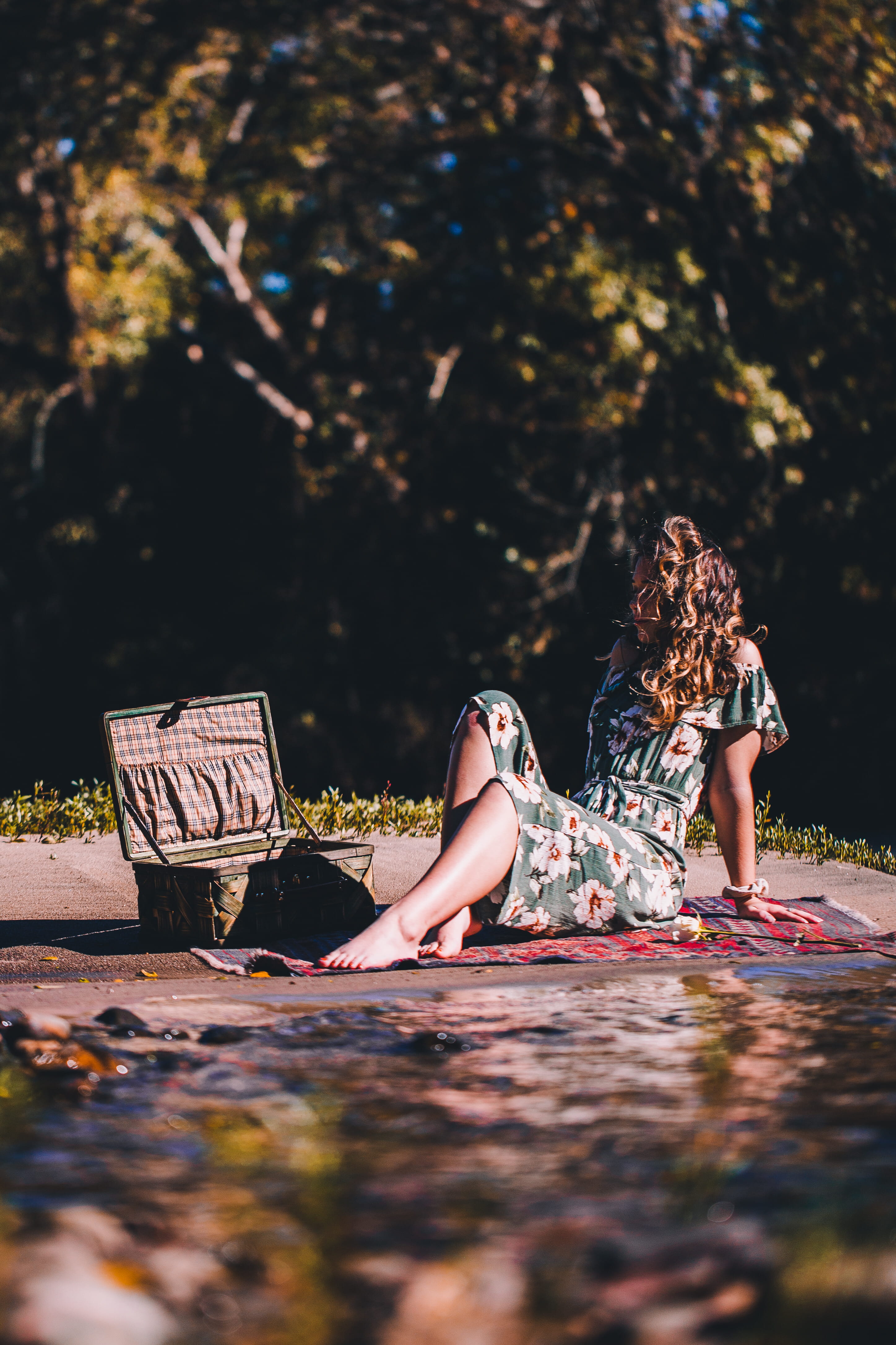 day, selective focus, tree, posing, sitting, female, summer, leisure activity, casual clothing, real people, summer vibe, nature, golden hour, females, Phone HD Wallpaper