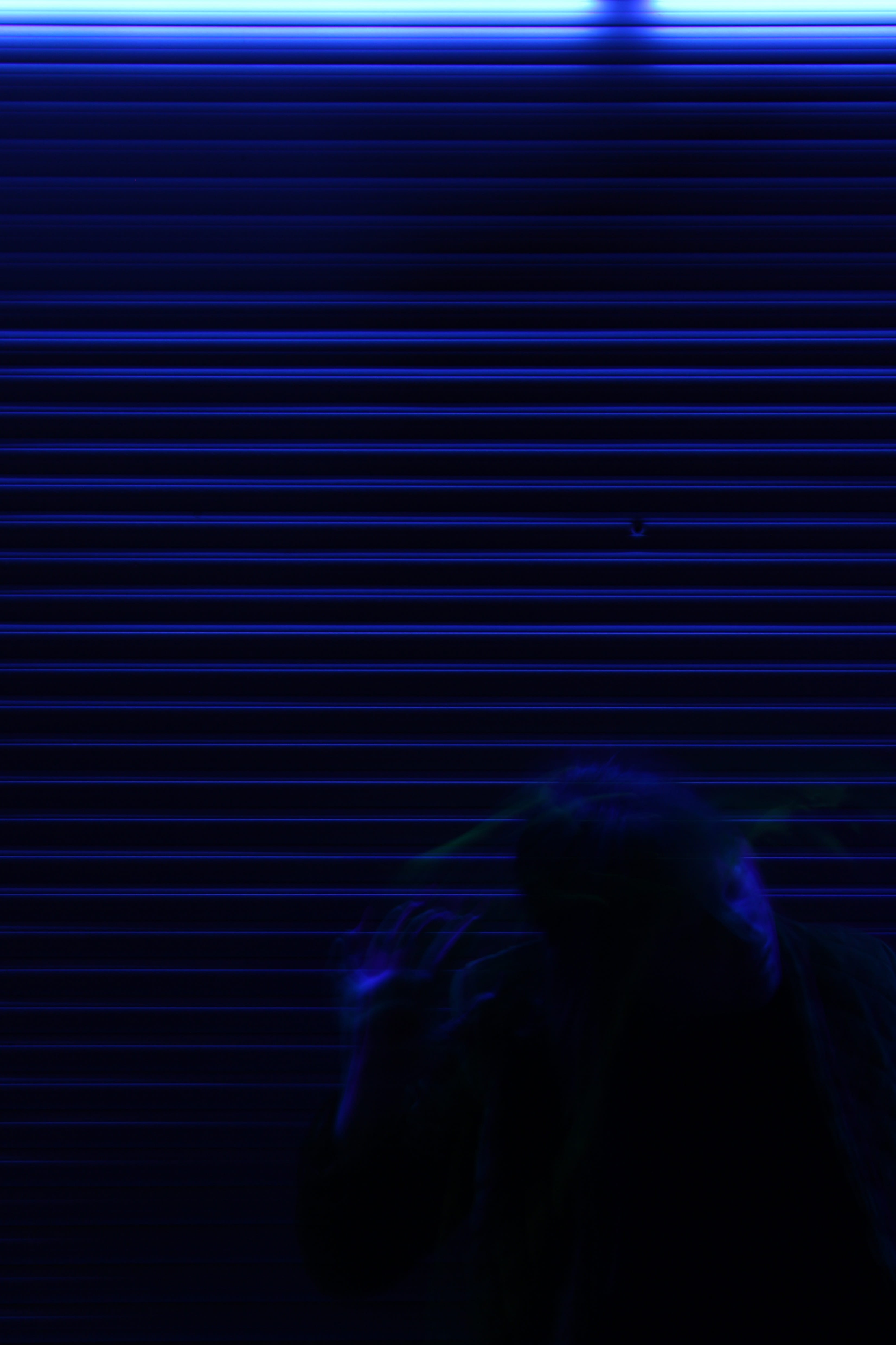 glow, two people, glowing, garage, artwork, colorful, women, window shade, love, internet, star, optical device, graphic, theater curtain, person, headshot, Phone HD Wallpaper