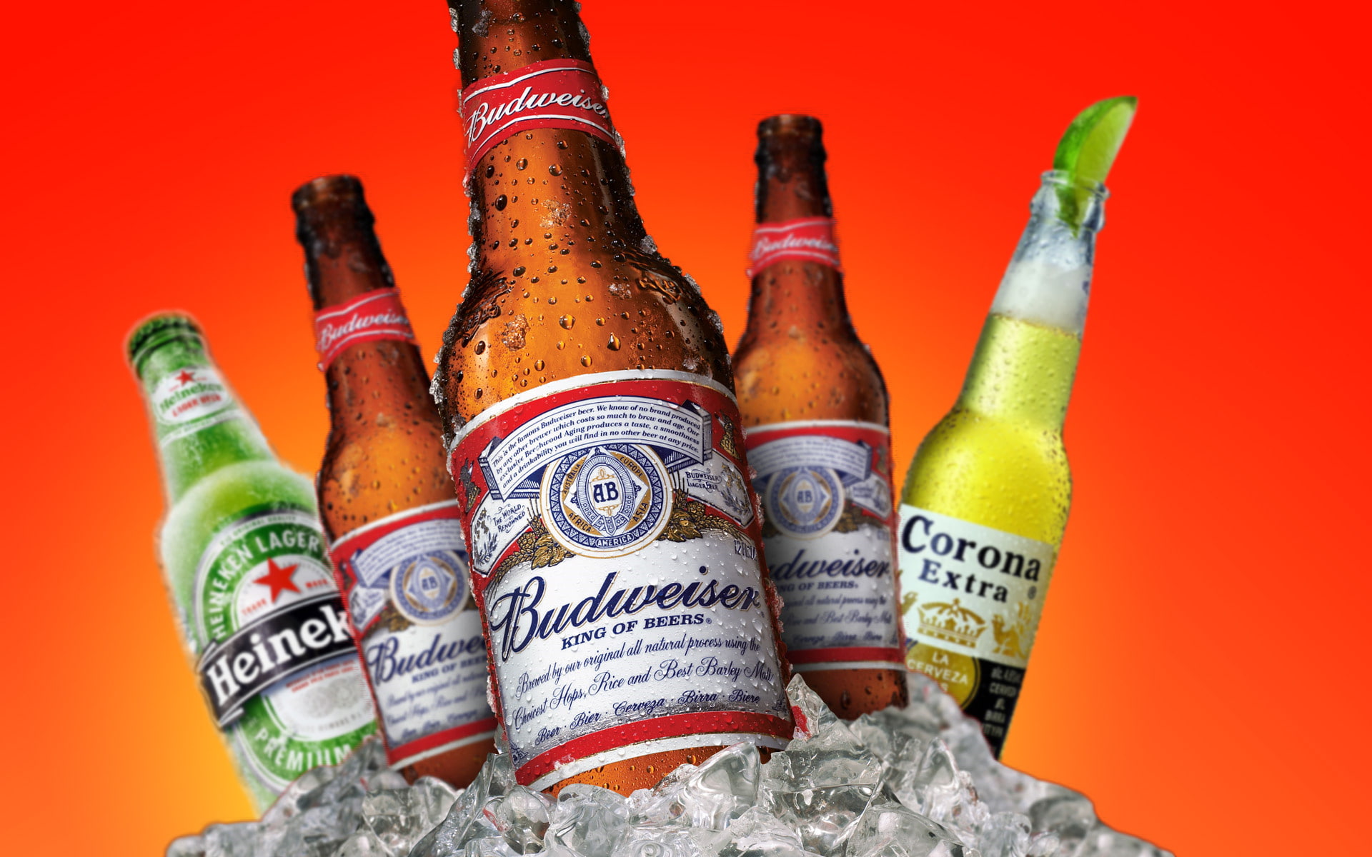 1080P, alcohol, cubes, beers, heineken, ice, budweiser, HD Wallpaper