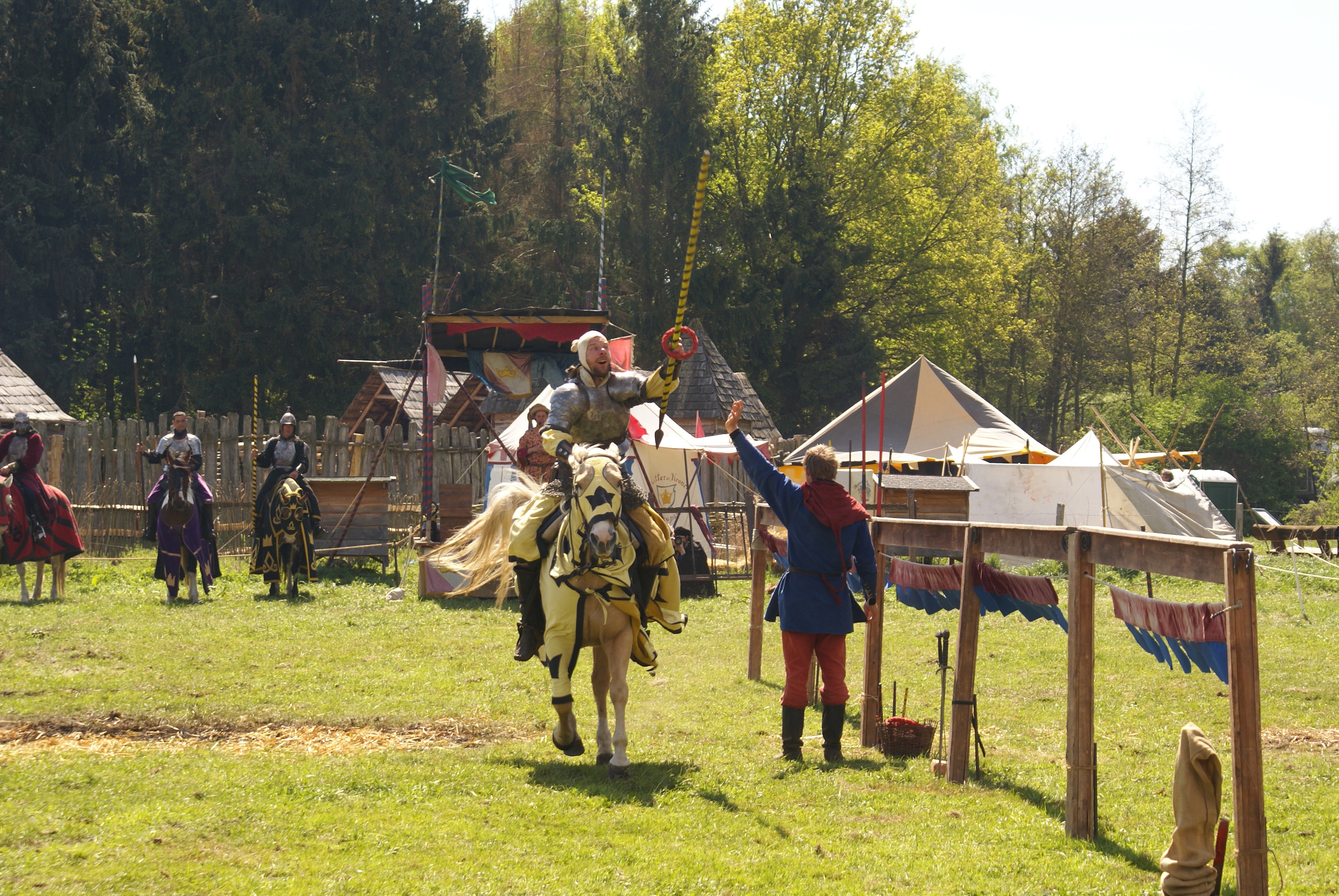 field, sunlight, cultures, knight, grass, outdoors, historical Reenactment, armor, group of people, horse, 4K, day, nature, people, men, real people, lifestyles, HD Wallpaper