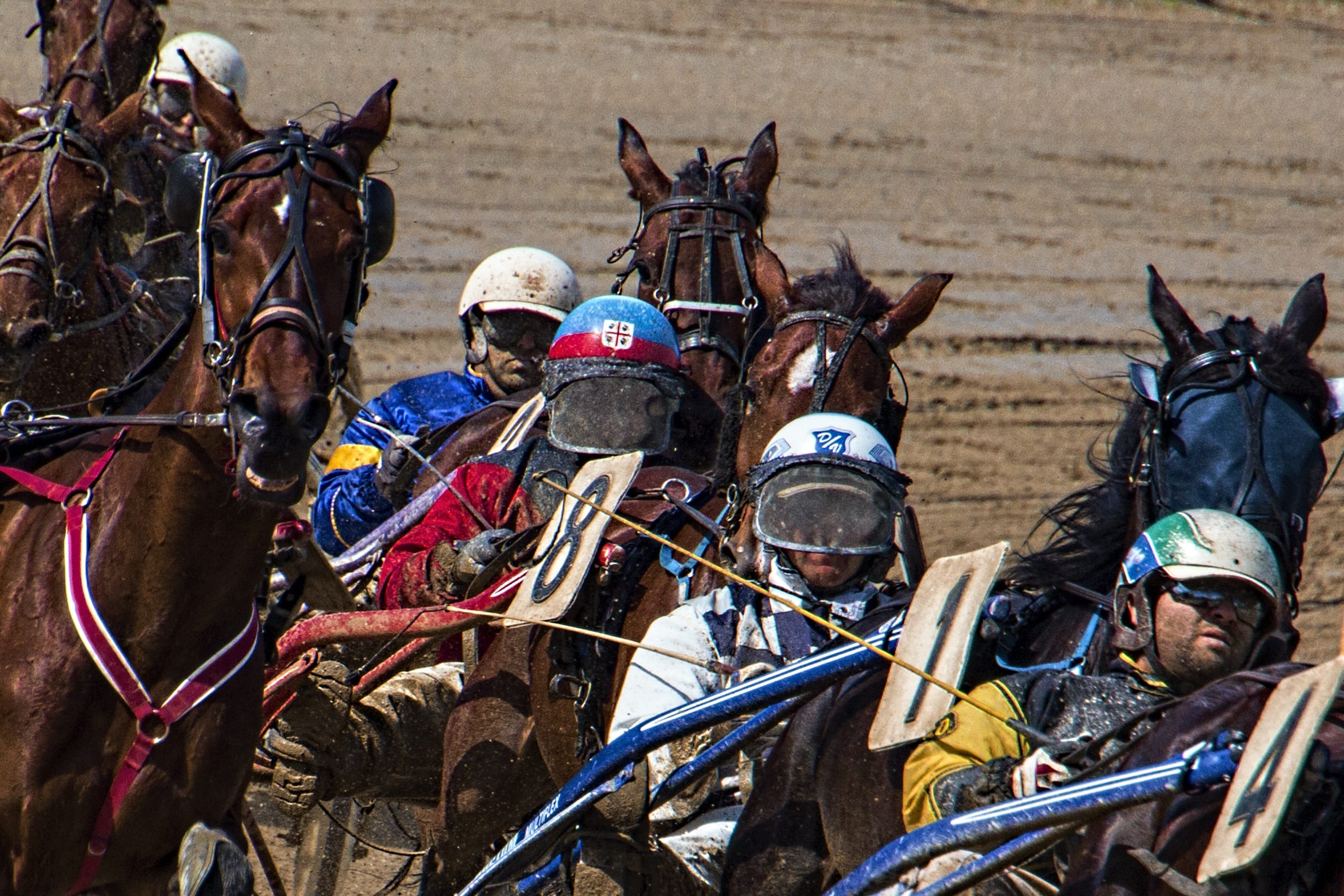brown, people, riding, race, 1080P, horse, trotting, livestock, equestrian, day, sporting competition, group of animals, vertebrate, teamwork, Race, working animal, HD Wallpaper