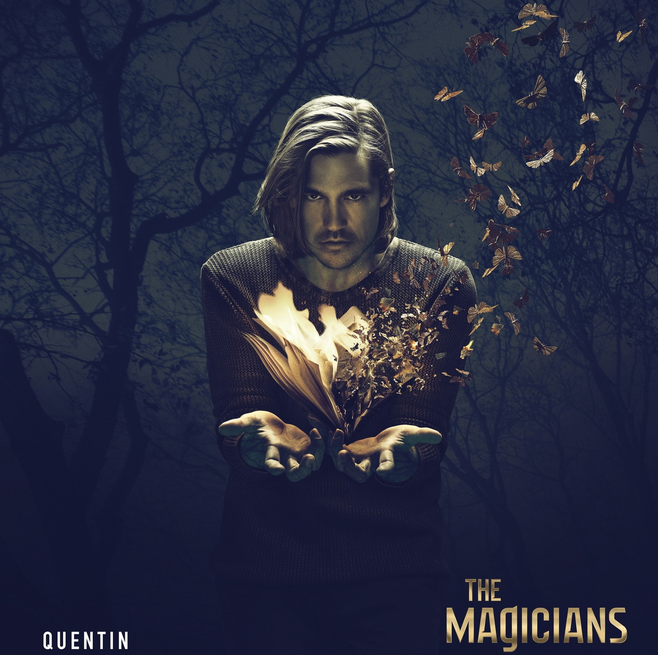 adult, The Magicians ( 2015 - ), casual clothing, one person, butterfly, man, waist up, leisure activity, portrait, tree, outdoors, the magicians, plant, HD Wallpaper