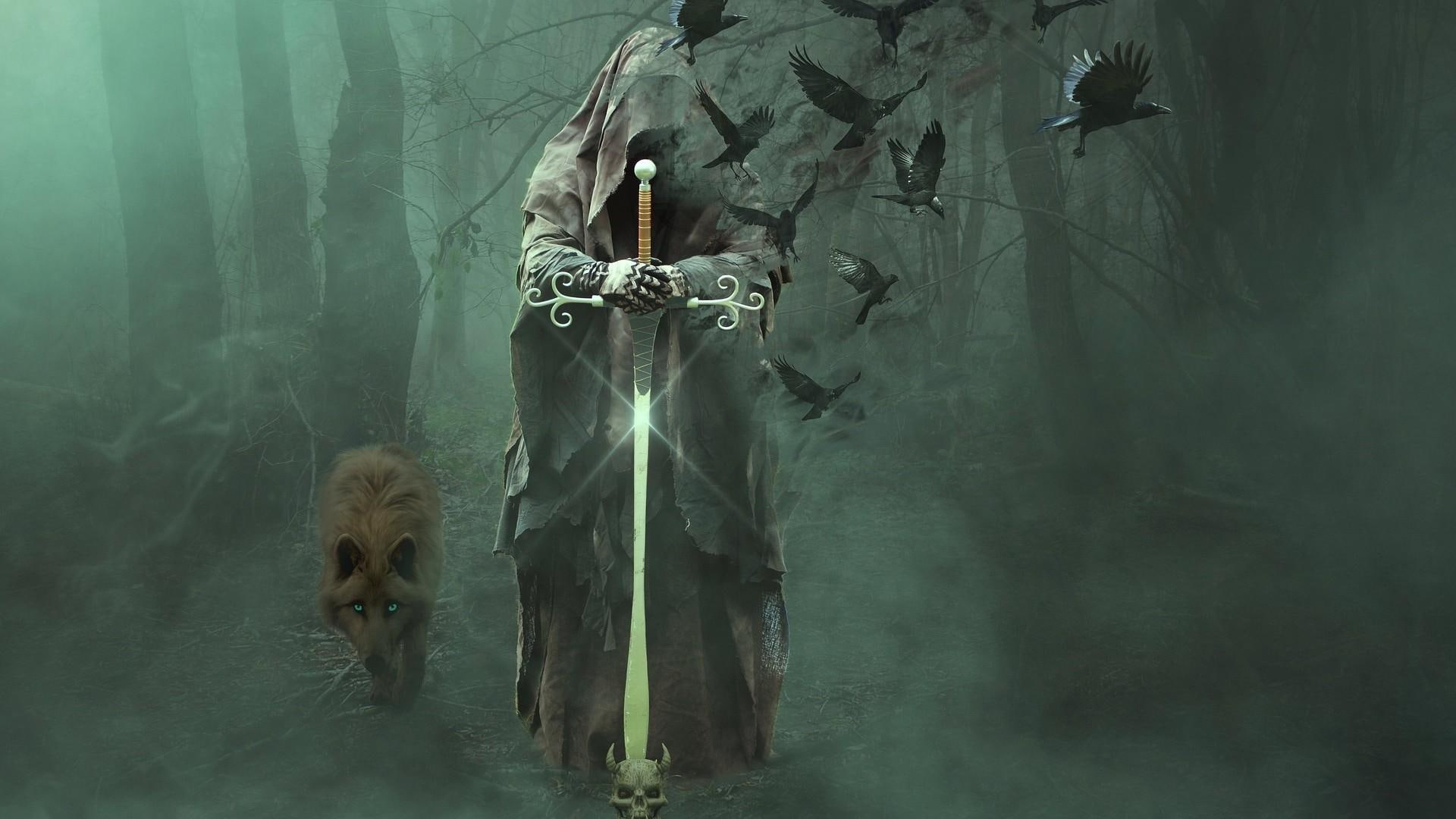 knight, fantasy art, raven, wolf, 1080P, magician, fantasy, wizard, magus, crow, forest, sword, HD Wallpaper