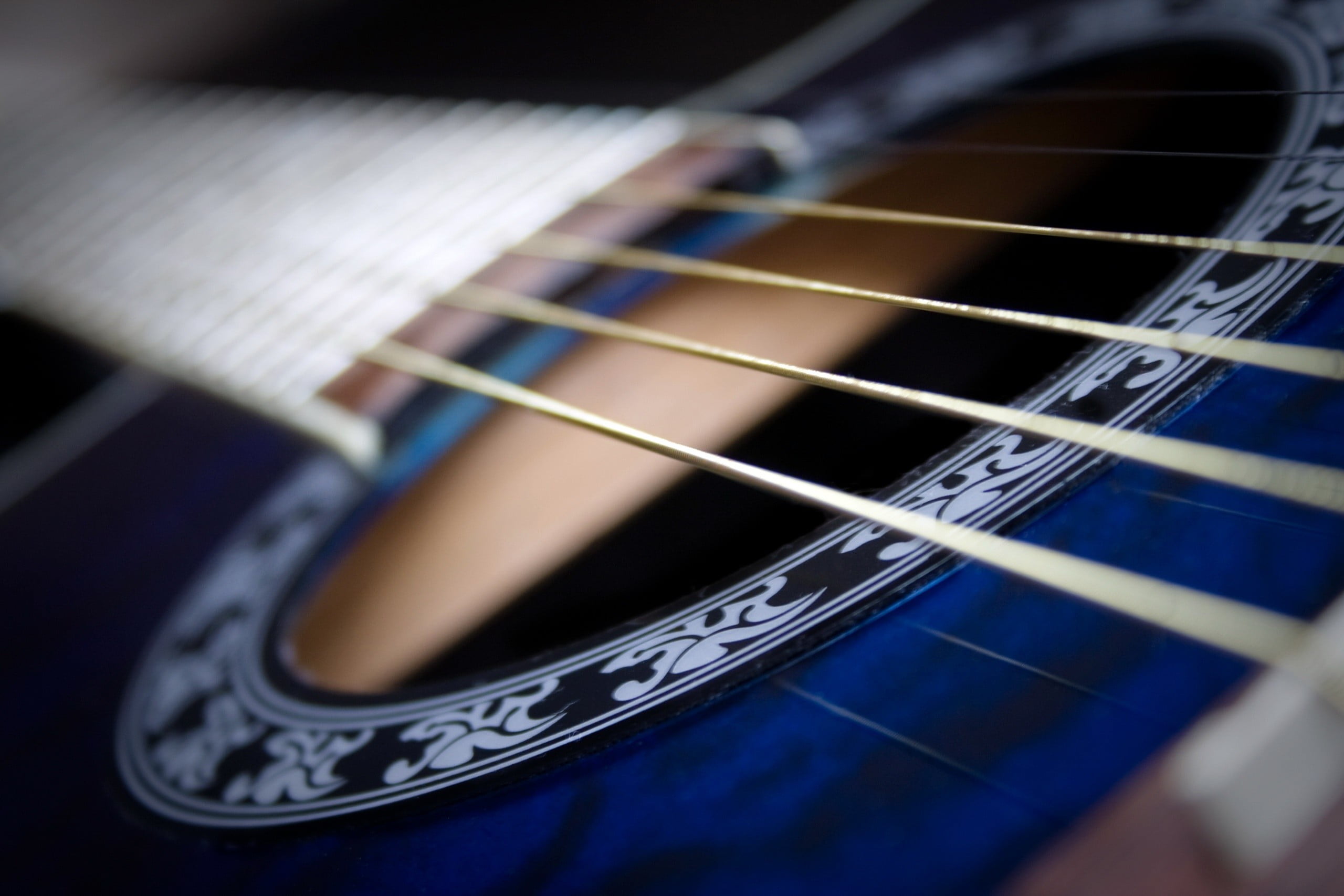 2K, string instrument, selective focus, playing, close-up, music, fretboard, blurred motion, high angle view, skill, white, wooden, musical equipment, HD Wallpaper