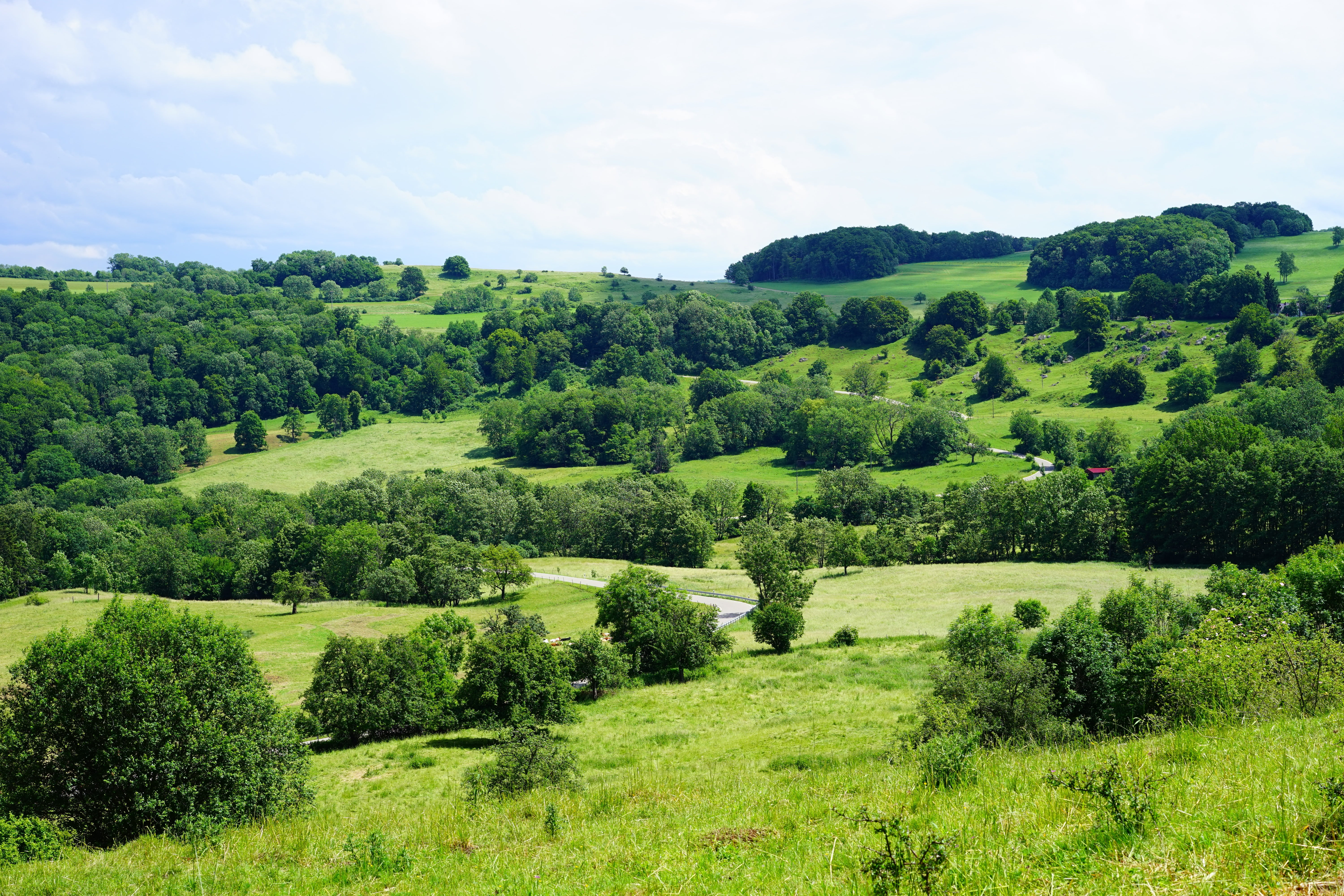 hill, tranquil scene, cloud - sky, green, summer, forest, 5K, no people, swabian alb, field, rand ecker maar, beauty in nature, nature, non-urban scene, HD Wallpaper