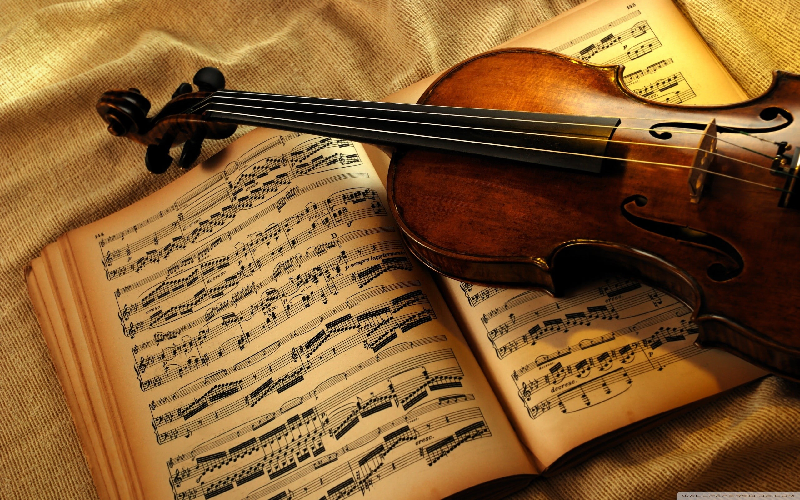 music, Partition, violin, 2K, HD Wallpaper