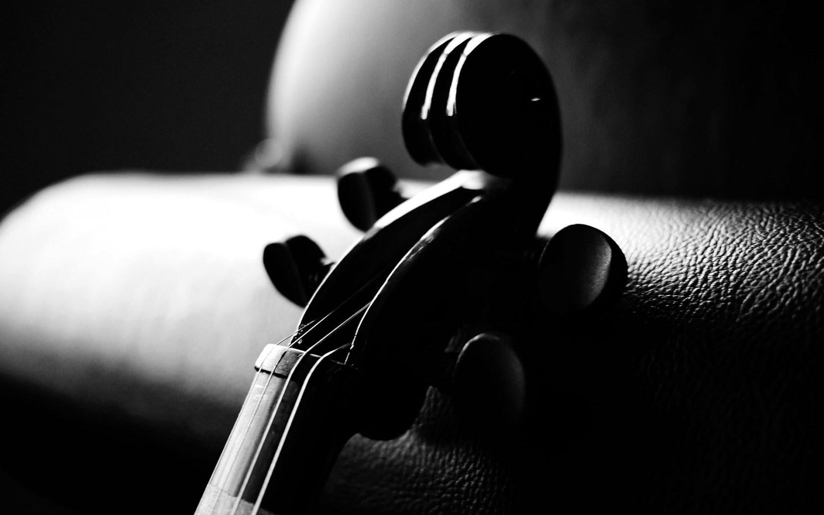 musical, 720P, black, headstock, instrument, violin, HD Wallpaper
