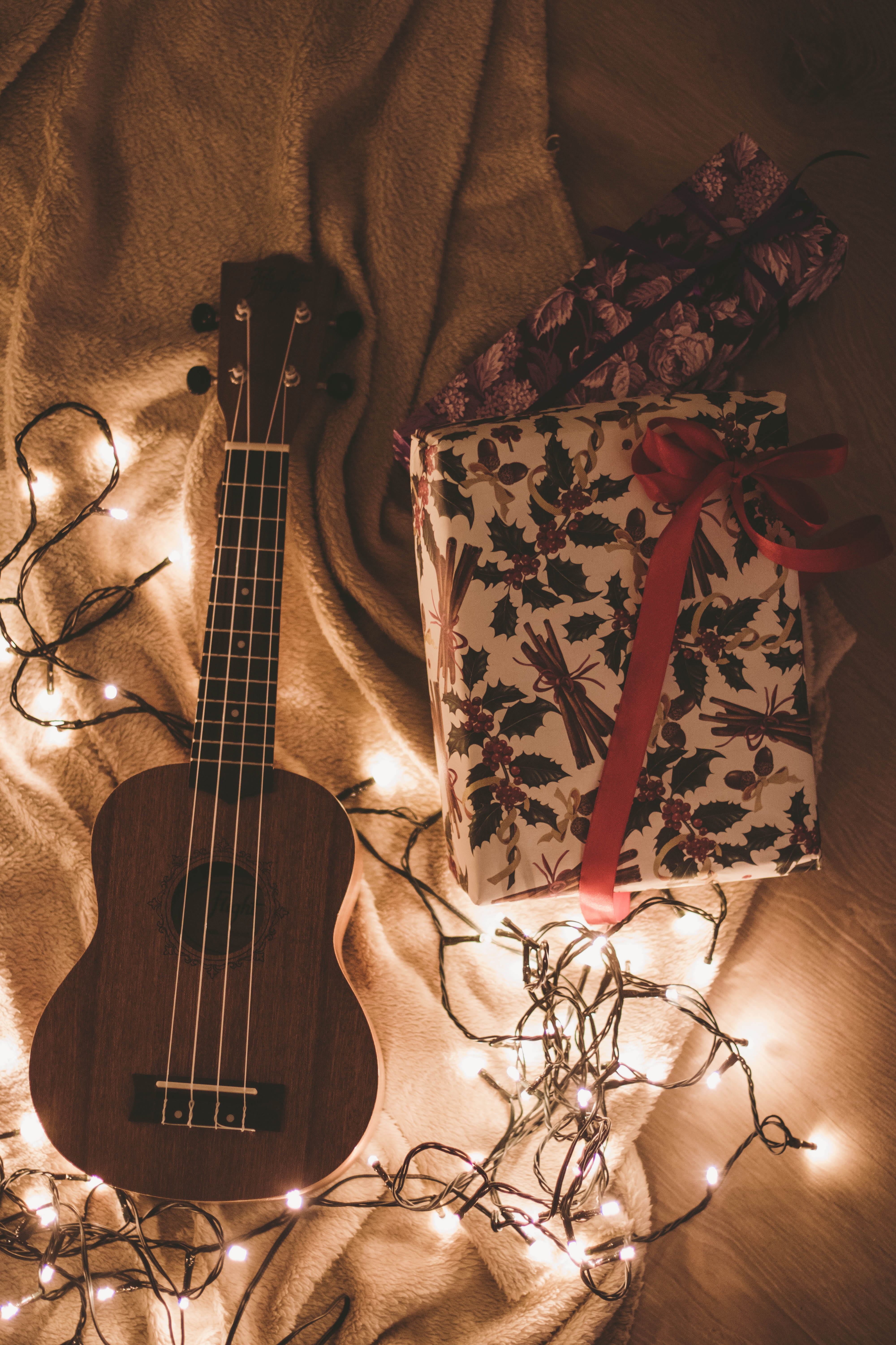 blanket, present, instrument, box, concert, lights, musician, arts culture and entertainment, public domain images, indoors, 5K, string instrument, play, Phone HD Wallpaper