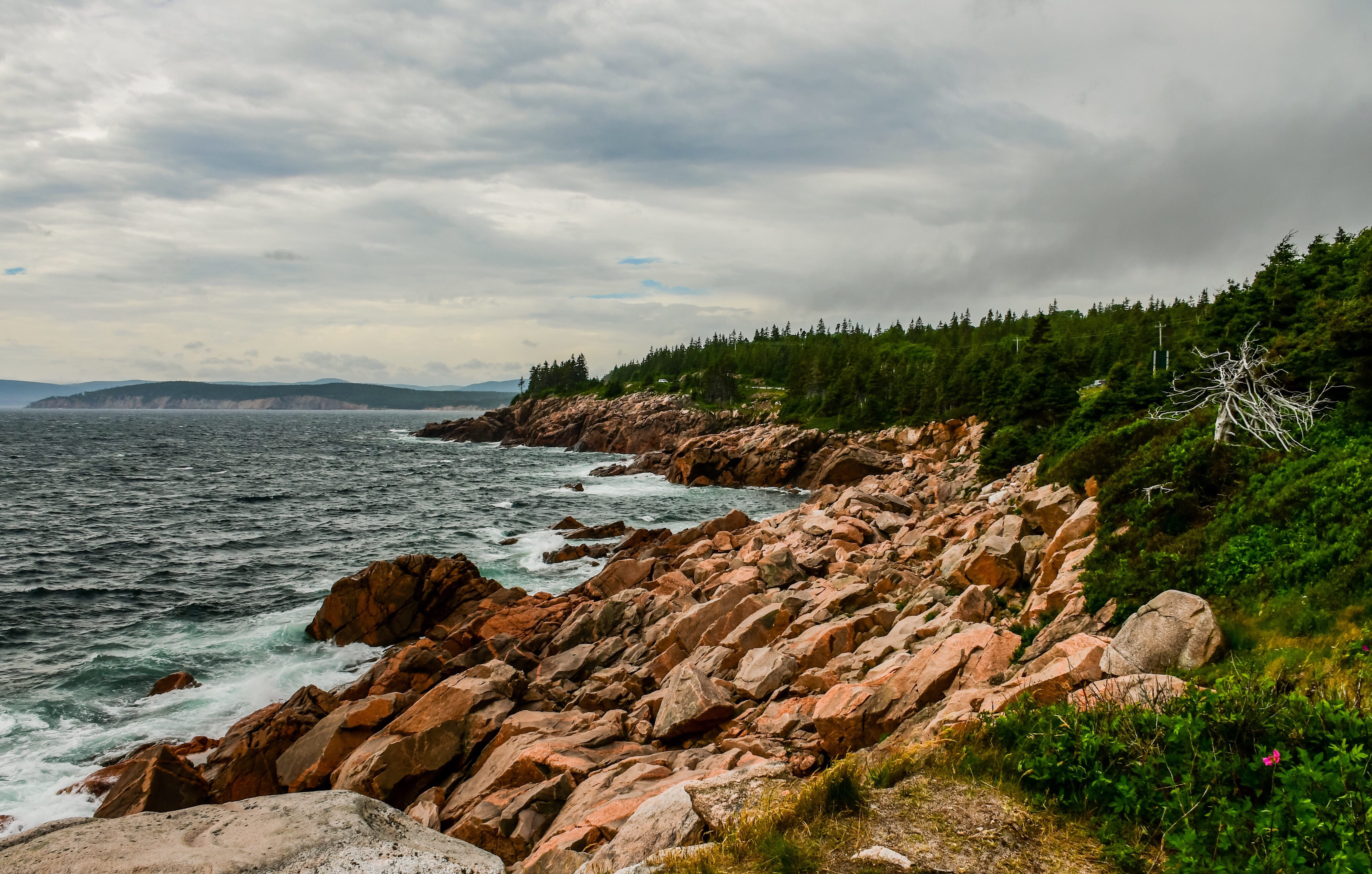 ocean, tranquility, outdoors, no people, summer, side, nature, water, tree, beach, beauty in nature, tranquil scene, rock, rocks, cloud - sky, wind, cape breton, HD Wallpaper