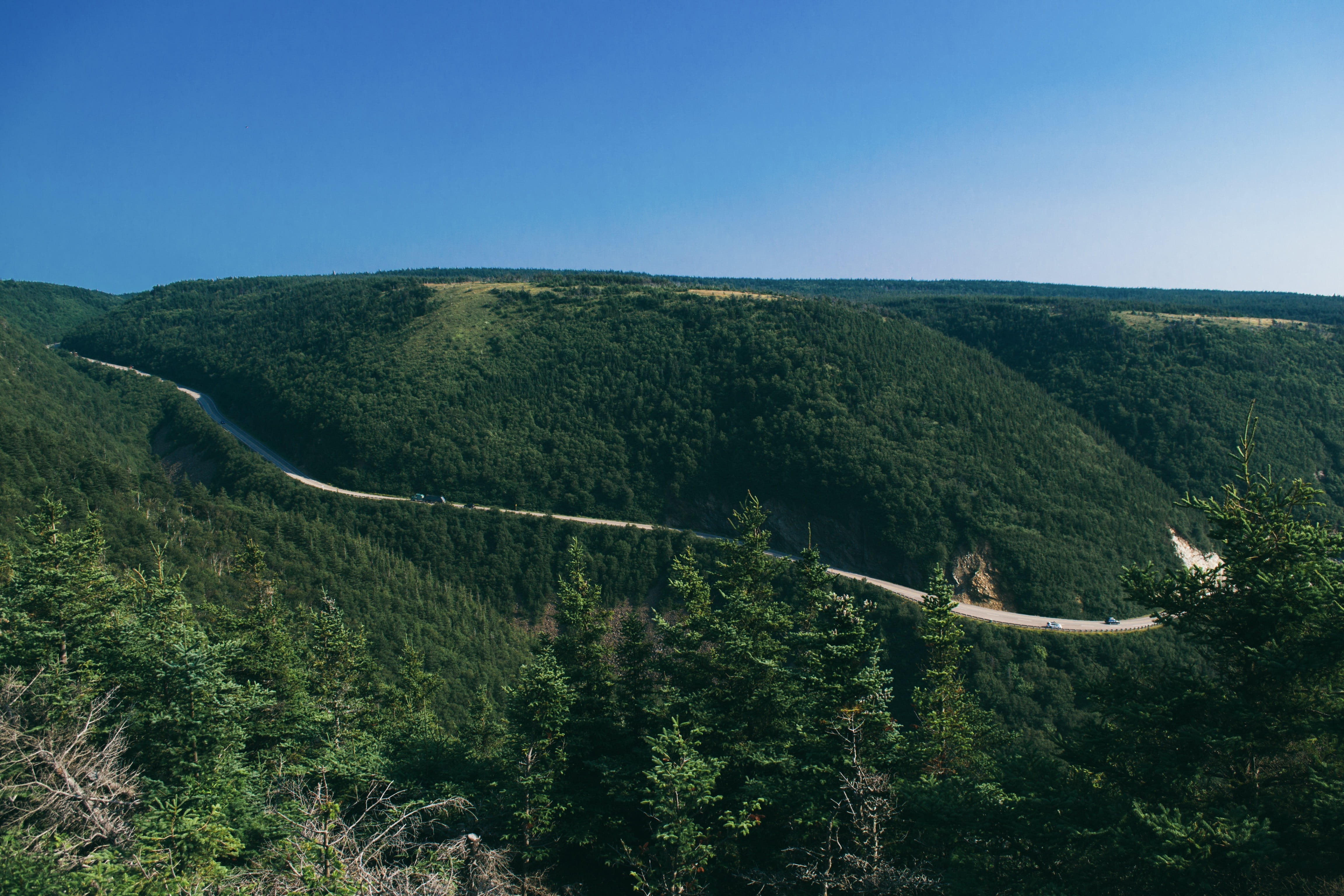 canada, cape breton, tranquil scene, green color, scenics - nature, day, no people, fir, environment, slope, idyllic, view, tree, beauty in nature, countryside, HD Wallpaper