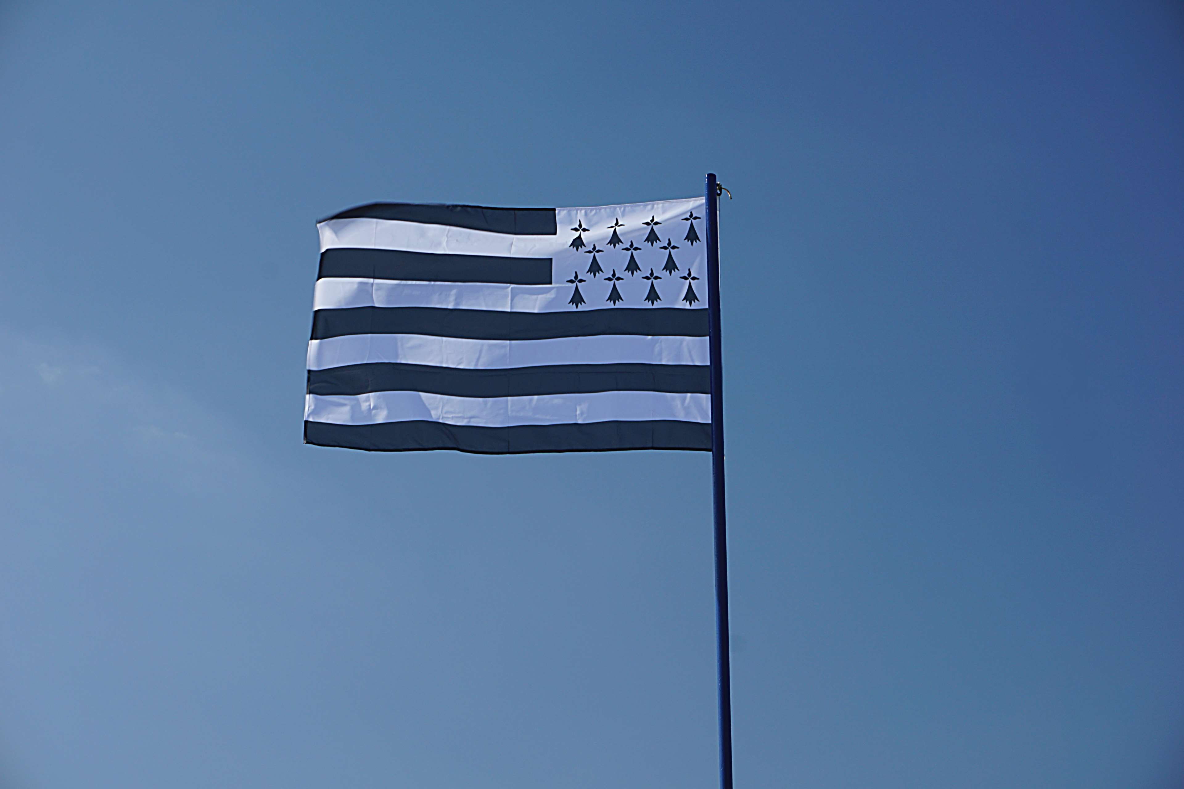 national icon, sky, outdoors, day, clear sky, no people, low angle view, bretagne, striped, wind, nature, symbol, environment, blue background, drapeau, HD Wallpaper