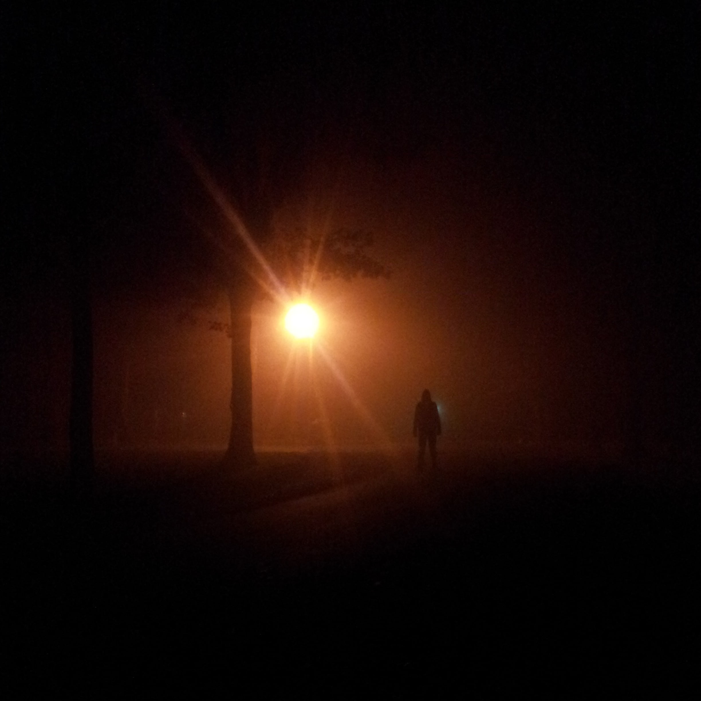 leaf, elmstreet, scary, nature, people, nightmare, sky, 1080P, dark, sunbeam, mysterious, real people, night, illuminated, unrecognizable person, sun, Phone HD Wallpaper