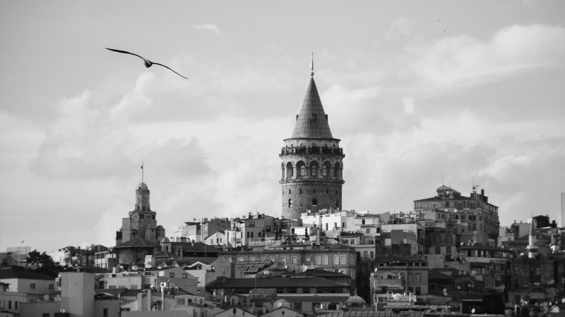 architecture, turkey, istanbul, bird, animal themes, building exterior, nature, flying, black and white, cityscape, 1080P, animal, city, place of worship, HD Wallpaper