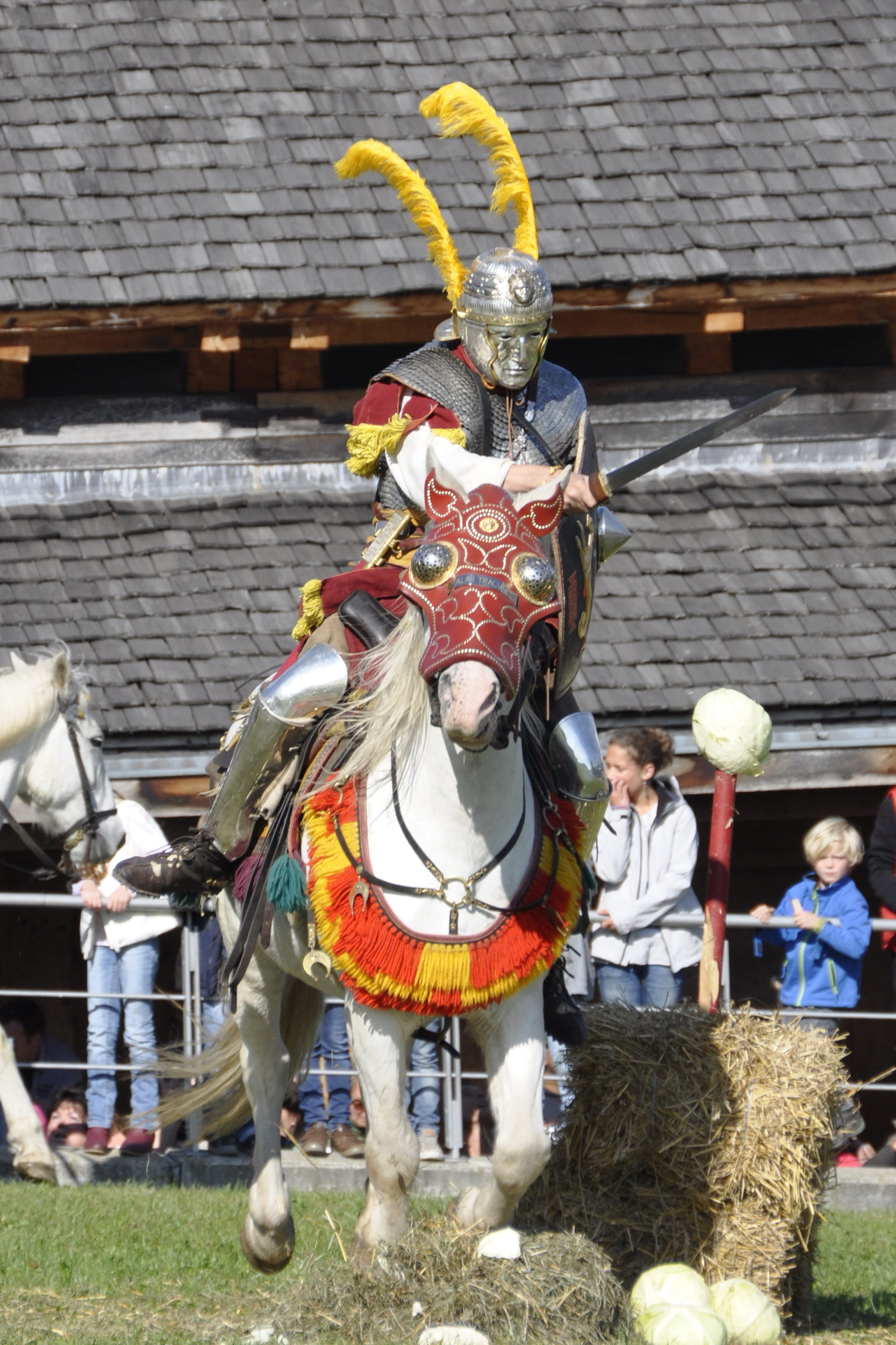 traditional Clothing, Horse, adult, Reiter, knight - Person, human representation, warrior, building exterior, period Costume, outdoors, Cavalry, art and craft, Phone HD Wallpaper