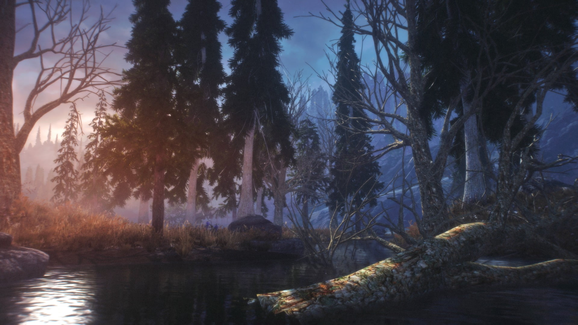 landscape, trunk, 1080P, lake, tranquility, forest, tree, white, tranquil scene, pine trees, outdoors, painting, beauty in nature, plant, growth, The Elder Scrolls V: Skyrim, HD Wallpaper