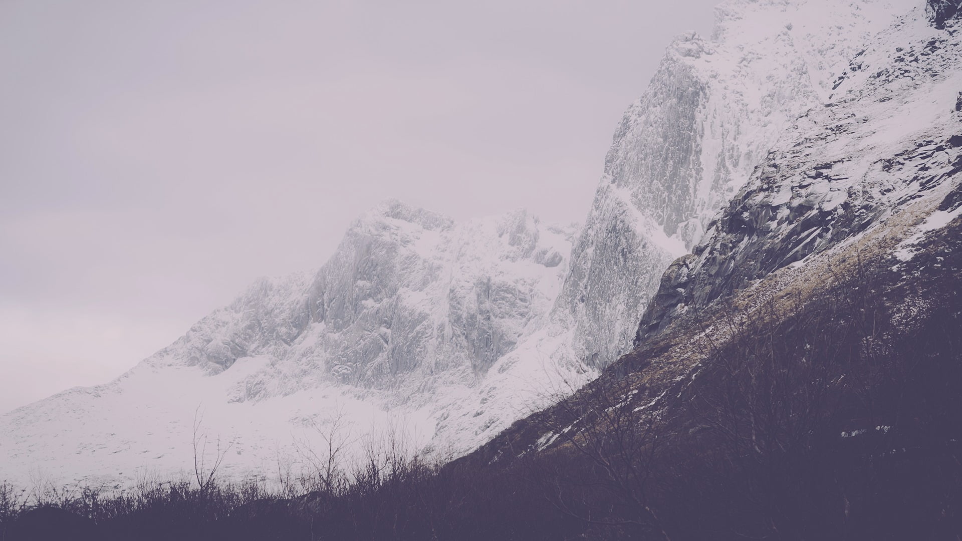 nature, snowcapped mountain, tree, mountain, landscape, tranquility, tranquil scene, snow, day, glacier, sky, winter, beauty in nature, mountains, fog, HD Wallpaper