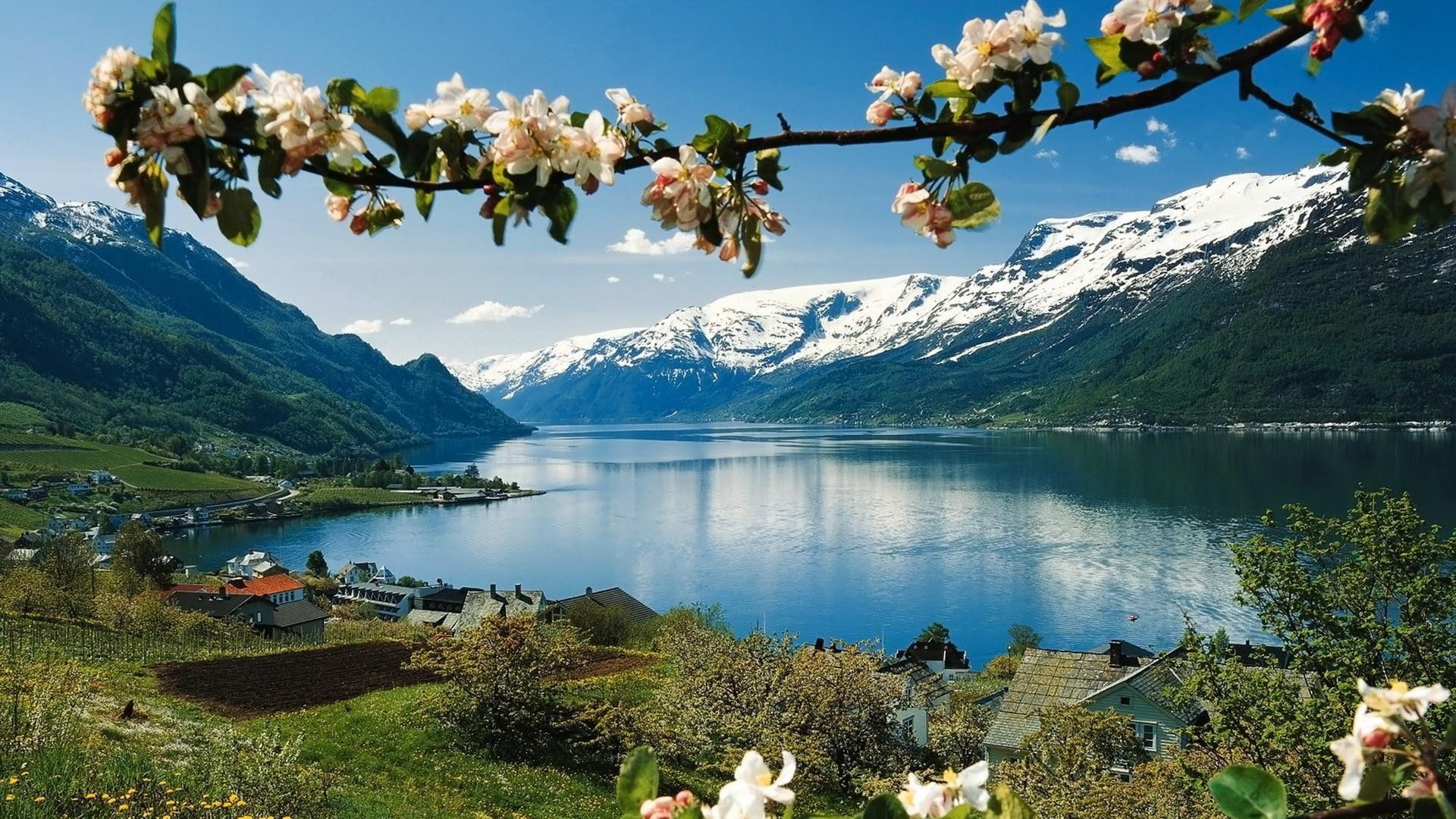 picturesque, wilderness, view, nature, lake, flowers, 1080P, photography, mountains, nature and landscapes, beauty, HD Wallpaper