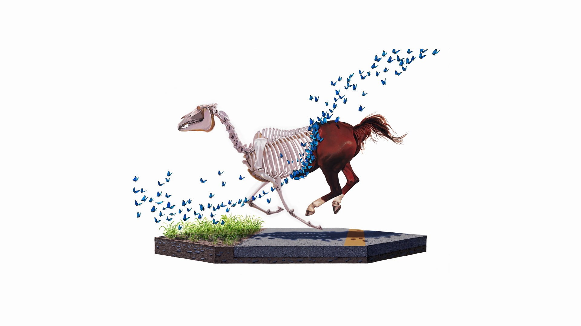 white background, creativity, wood - material, illustration, 1080P, animal themes, skeleton, indoors, grass, vertebrate, animals, animal representation, HD Wallpaper
