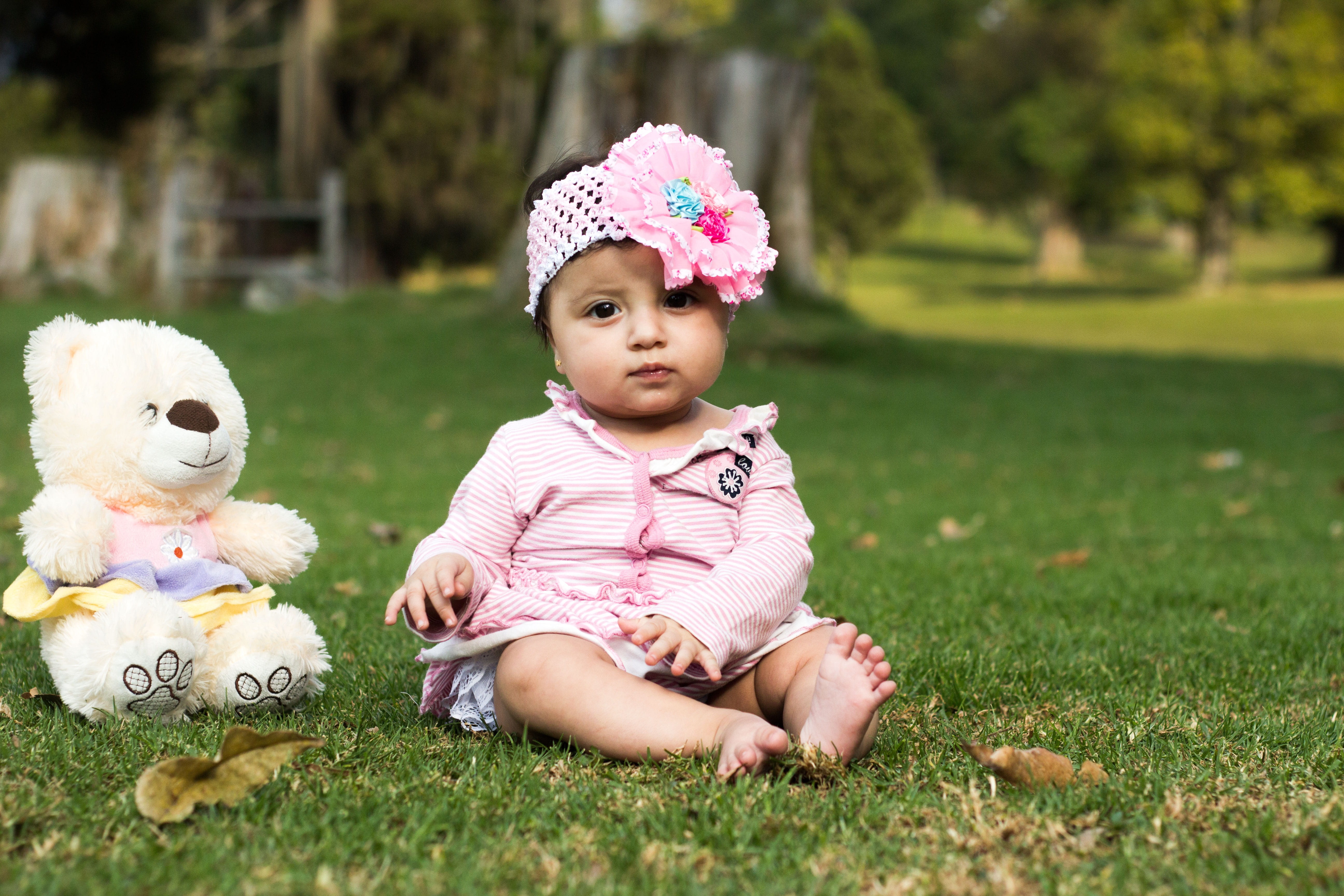 bear, grass, girl, dress, flowering plant, 5K, baby, young, springtime, toy, nature, childhood, outdoors, sitting, head band, front view, pink color, plant, HD Wallpaper
