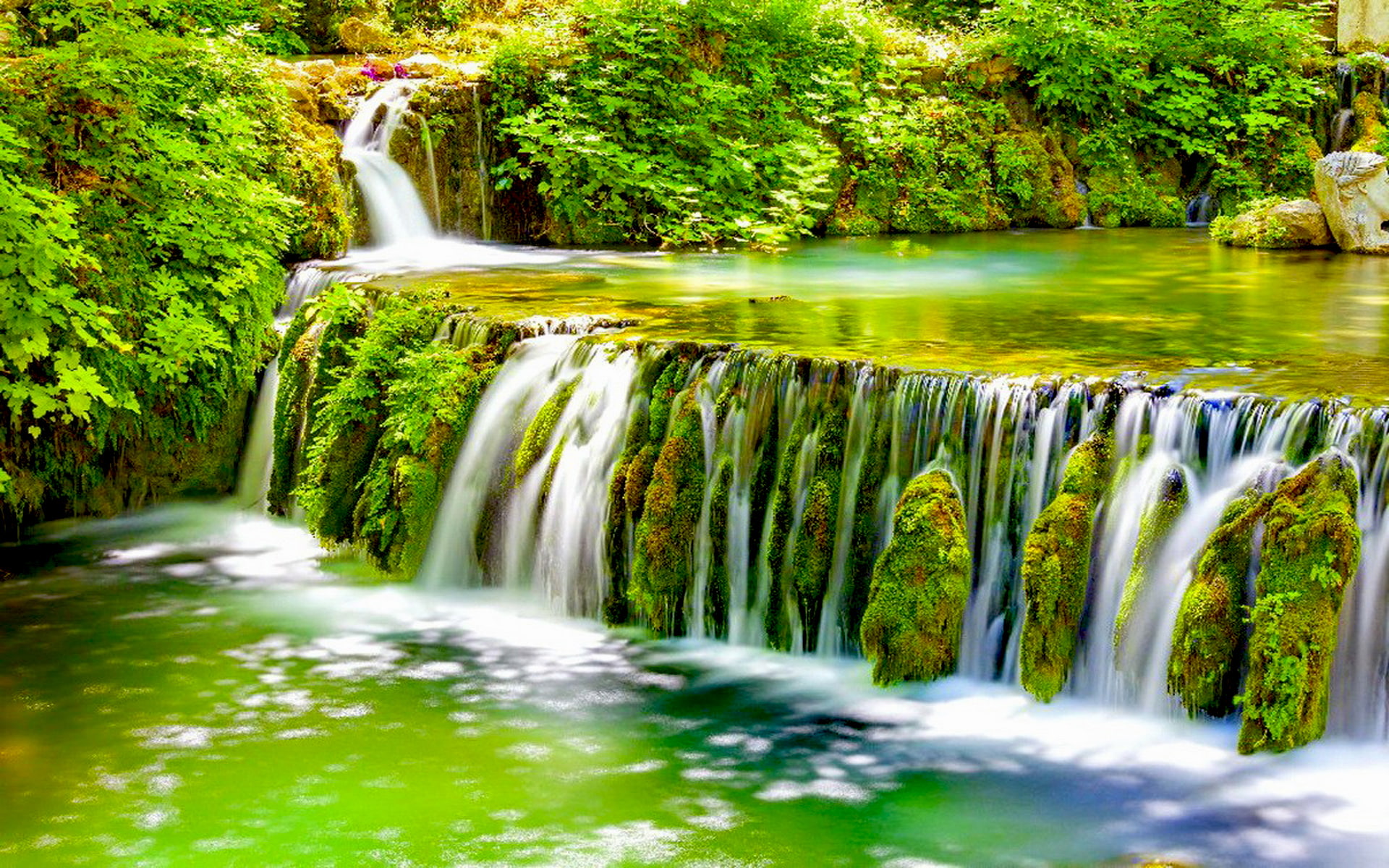  water, waterfall, forest, bushes, 1080P, rocks, vegetation, green, beautiful, clear, moss, overgrown, HD Wallpaper