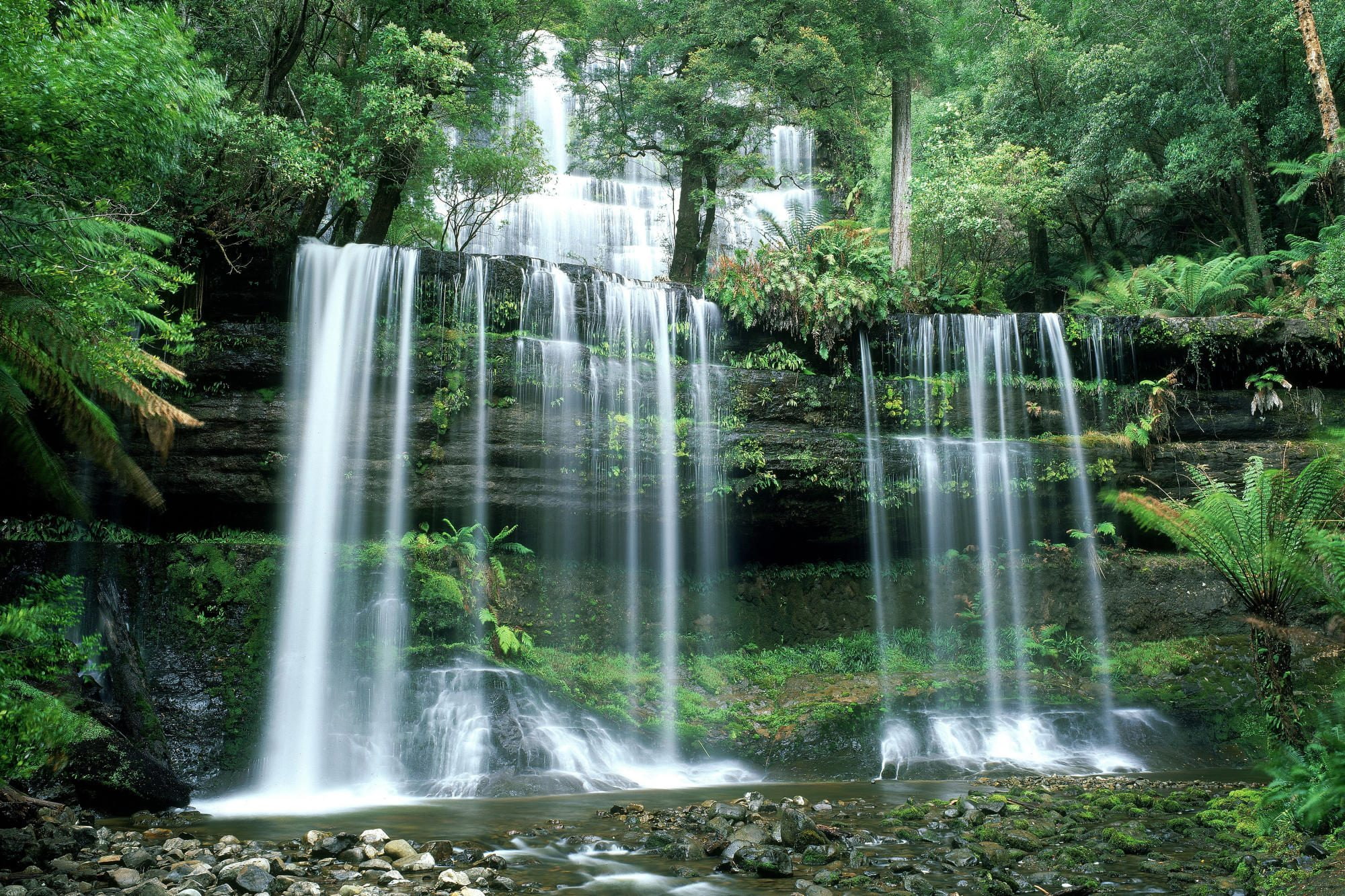 1080P, overgrown, Tasmania, forest, trees, landscape, plants, long exposure, stones, nature, waterfall, Russel Falls, water, Australia, HD Wallpaper