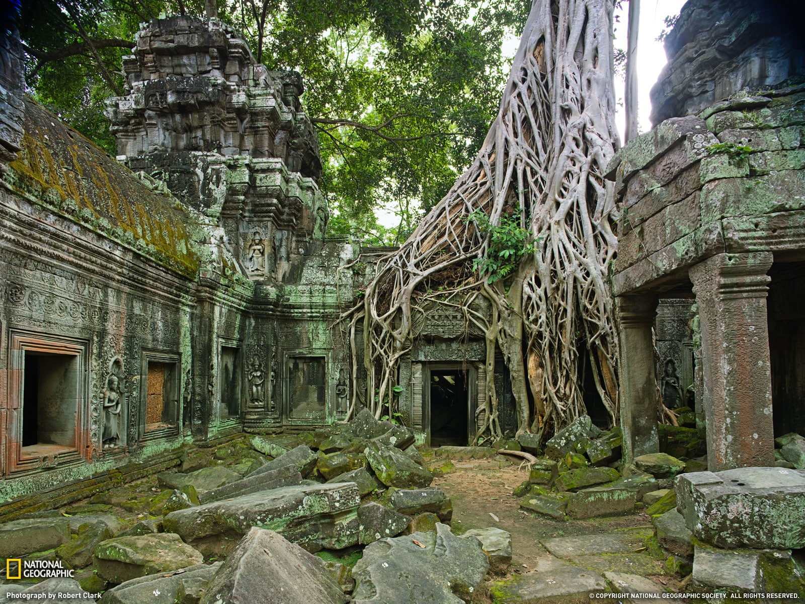 National Geographic, Overgrown, Temple, 720P, Trees, nature, HD Wallpaper