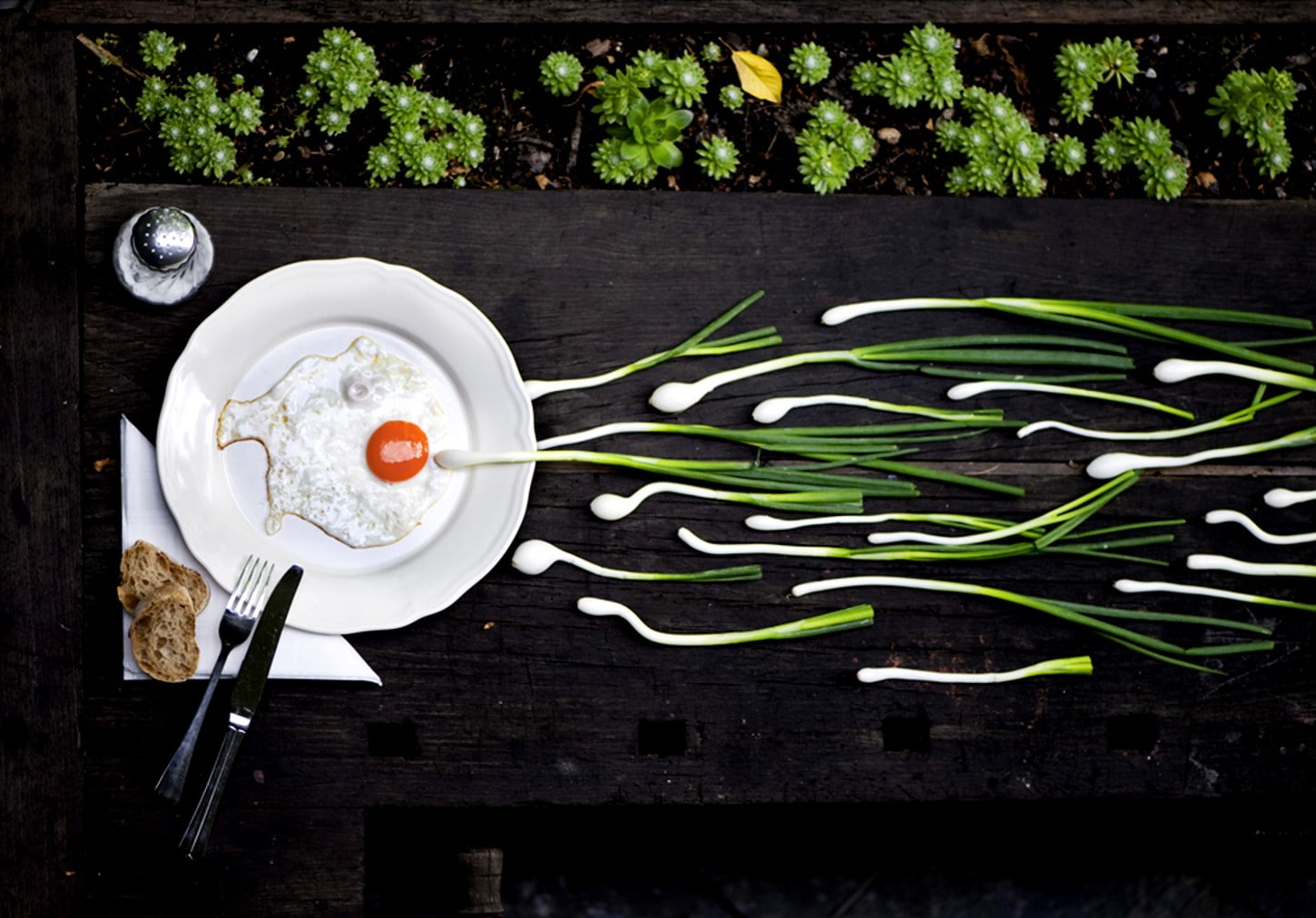 720P, eggs, entertainment, sperm, breakfast, funny, x, hd, humor, art, HD Wallpaper