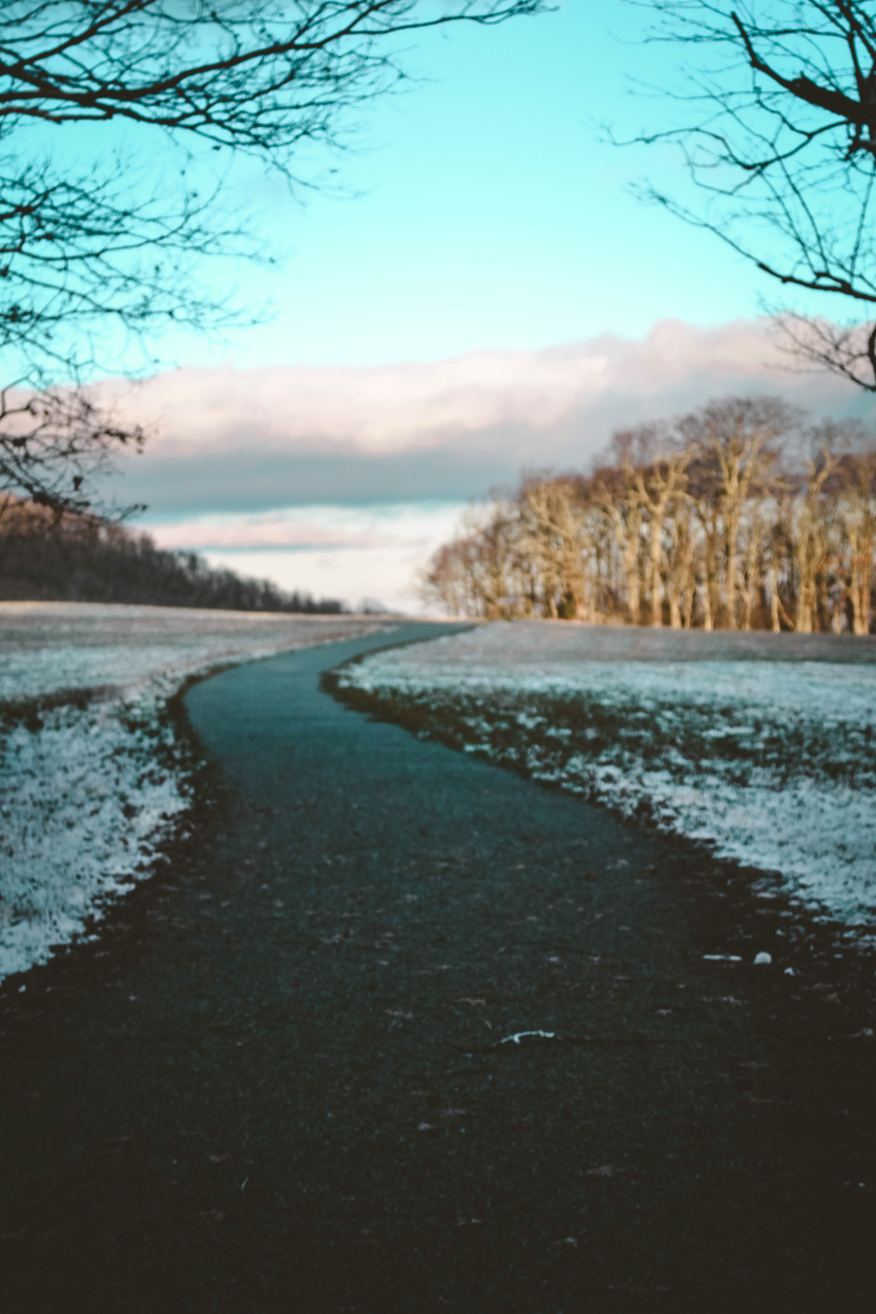 water, plant, no people, tranquility, cold temperature, blowing rock, snow, hiking, mountain, moses h cone memorial park, cloud - sky, non-urban scene, Phone HD Wallpaper