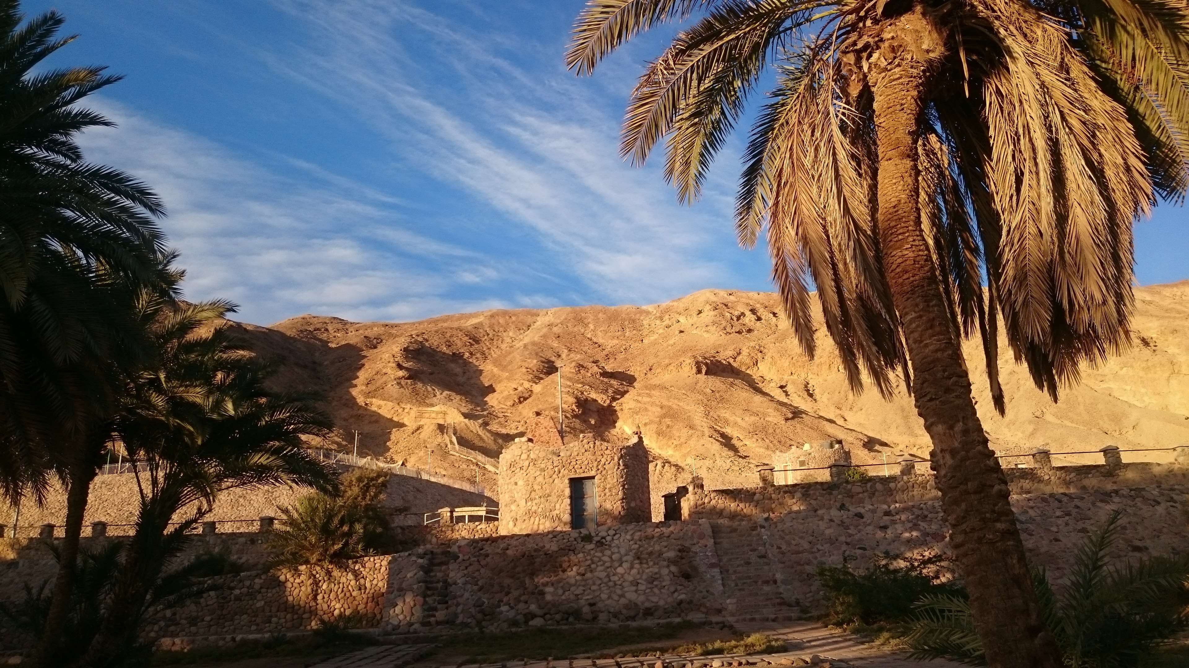 ancient civilization, history, nature, old ruin, architecture, the past, palm tree, sunlight, building exterior, built structure, land, 4K, tropical climate, HD Wallpaper