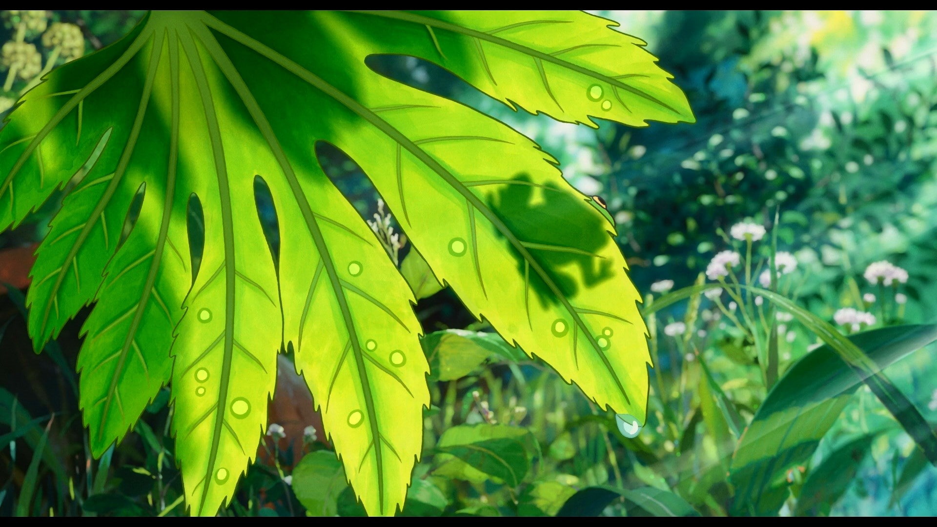 plant part, day, no people, outdoors, drop, nature, green color, growth, transfer print, leaves, beauty in nature, purity, wet, 1080P, plant, water, auto post production filter, HD Wallpaper