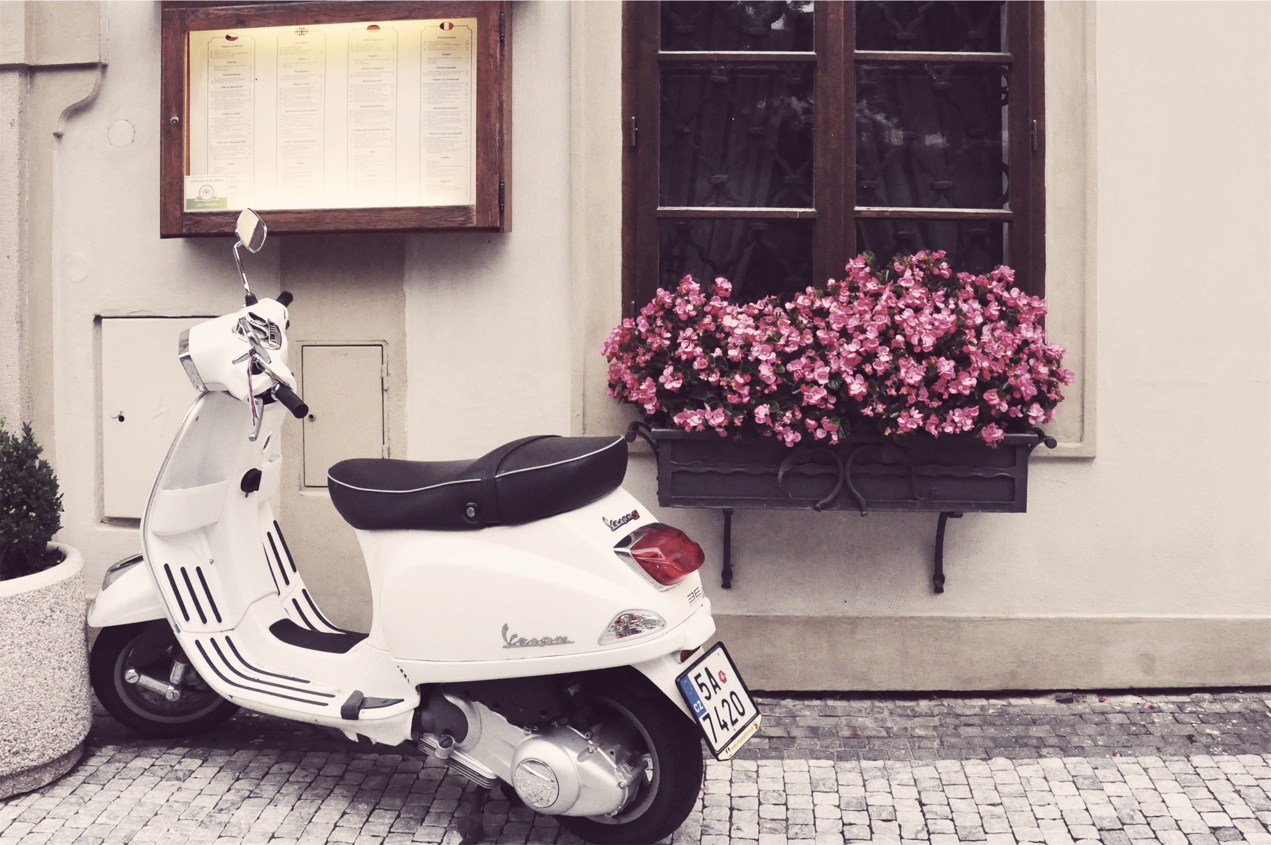 plant, old-fashioned, motorcycle, 1080P, mode of transportation, moped, scooter, window, motor Scooter, motor, flower arrangement, flowers, flowering plant, HD Wallpaper