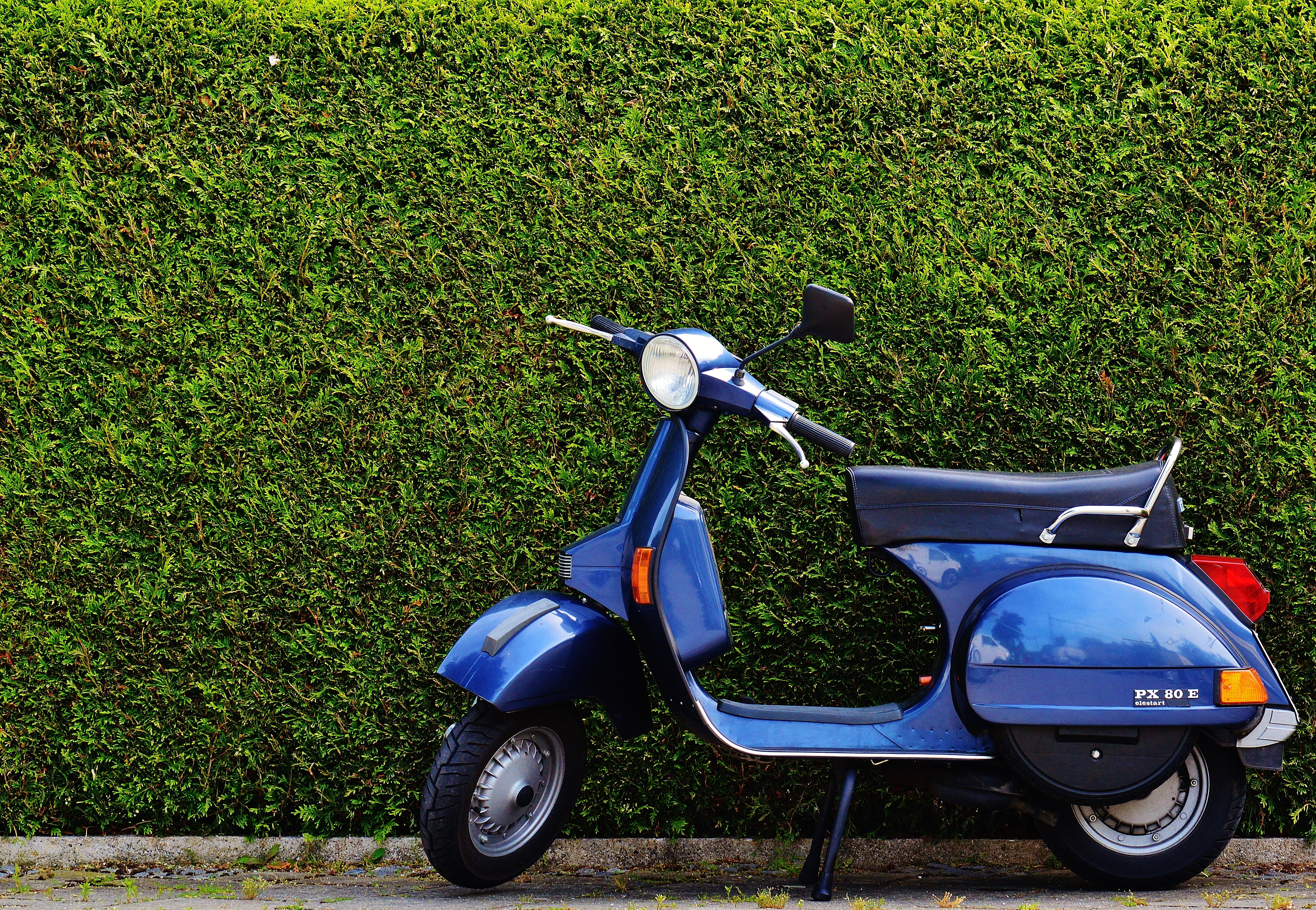 vespa, roller, outdoors, beside, side view, plant, vehicle, grass, street, hedge, blue, flitzer, stationary, black, technology, growth, nature, bicycle, HD Wallpaper