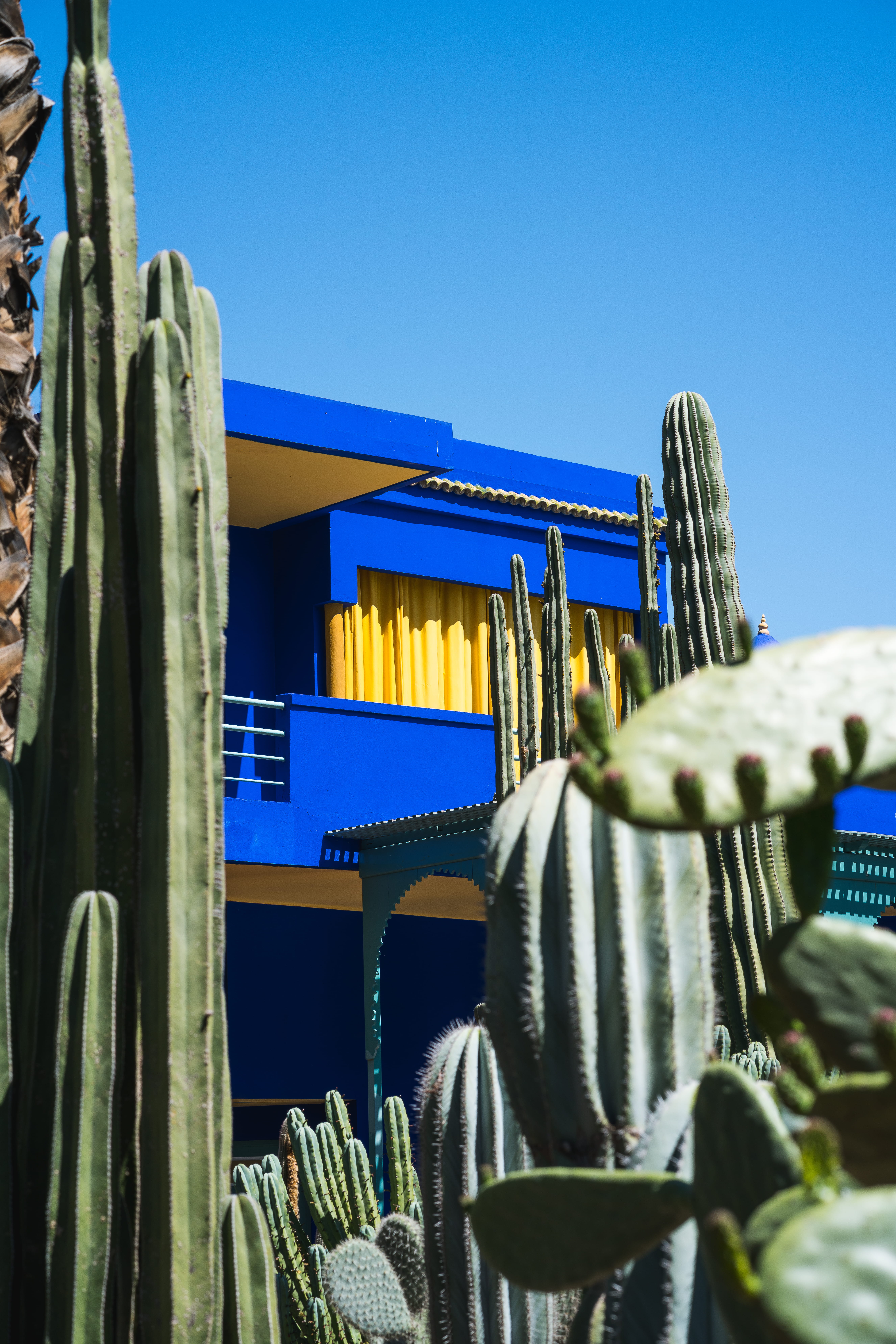 summer, architecture, museum, sky, front, plant, wood - material, blue, house, moder, clear sky, marrakech, outdoors, outdoor, copy space, yellow, sunlight, Phone HD Wallpaper
