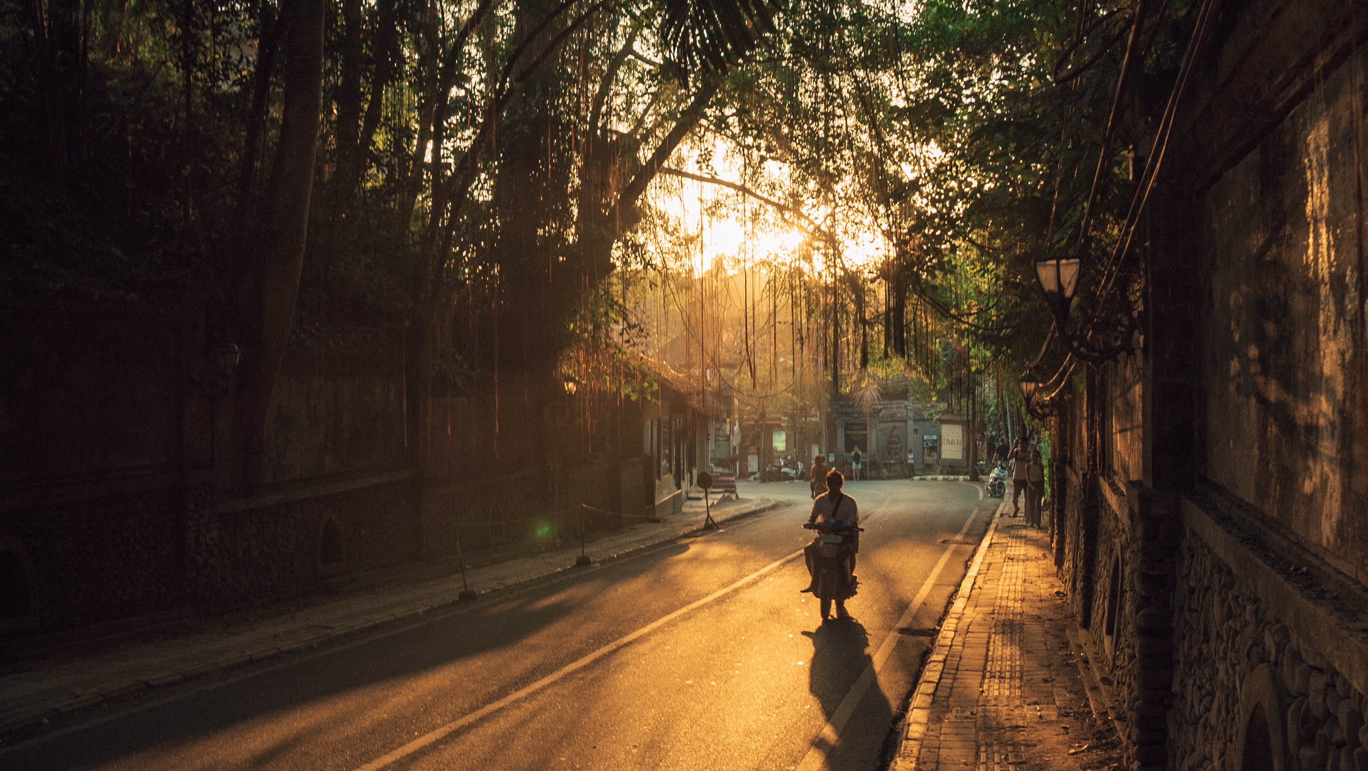 2K, street, tree, bike, concrete, scooter, real people, wall, men, sunrise, lifestyles, moped, adult, nature, male, city, the way forward, golden, road, HD Wallpaper