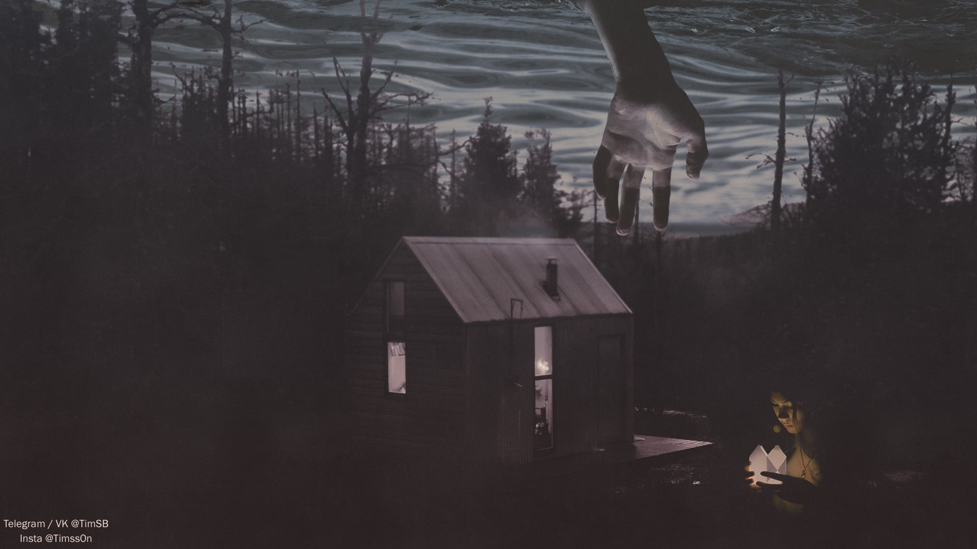 animal, shack, house, forest, built structure, no people, tree, nature, water, land, tranquility, plant, building, architecture, vertebrate, HD Wallpaper
