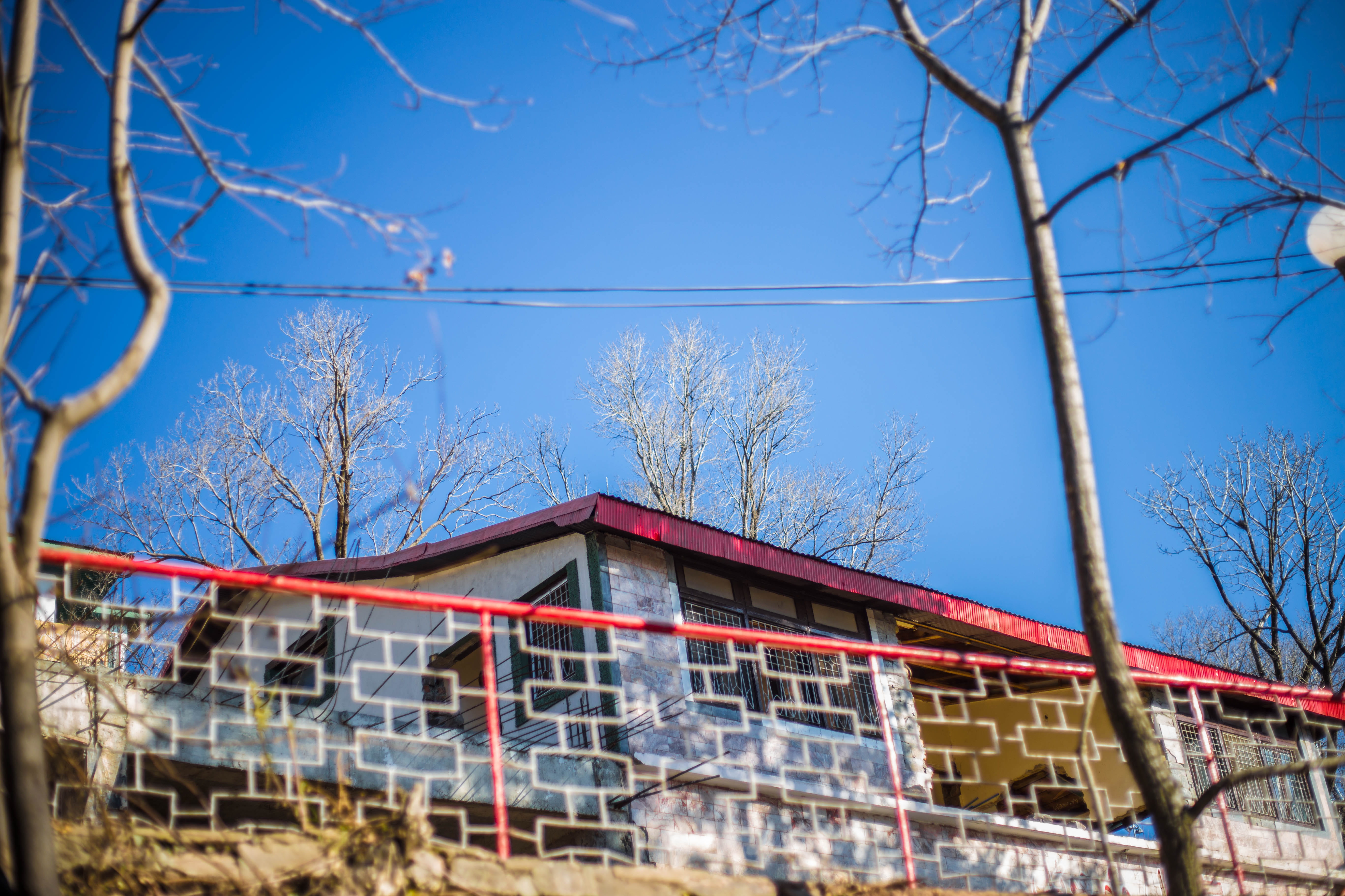 shelter, low angle view, greenary, shack, housing, plant, Pakistan, murree, mall road, house, 5K, sunlight, day, tree, no people, outdoors, countryside, HD Wallpaper