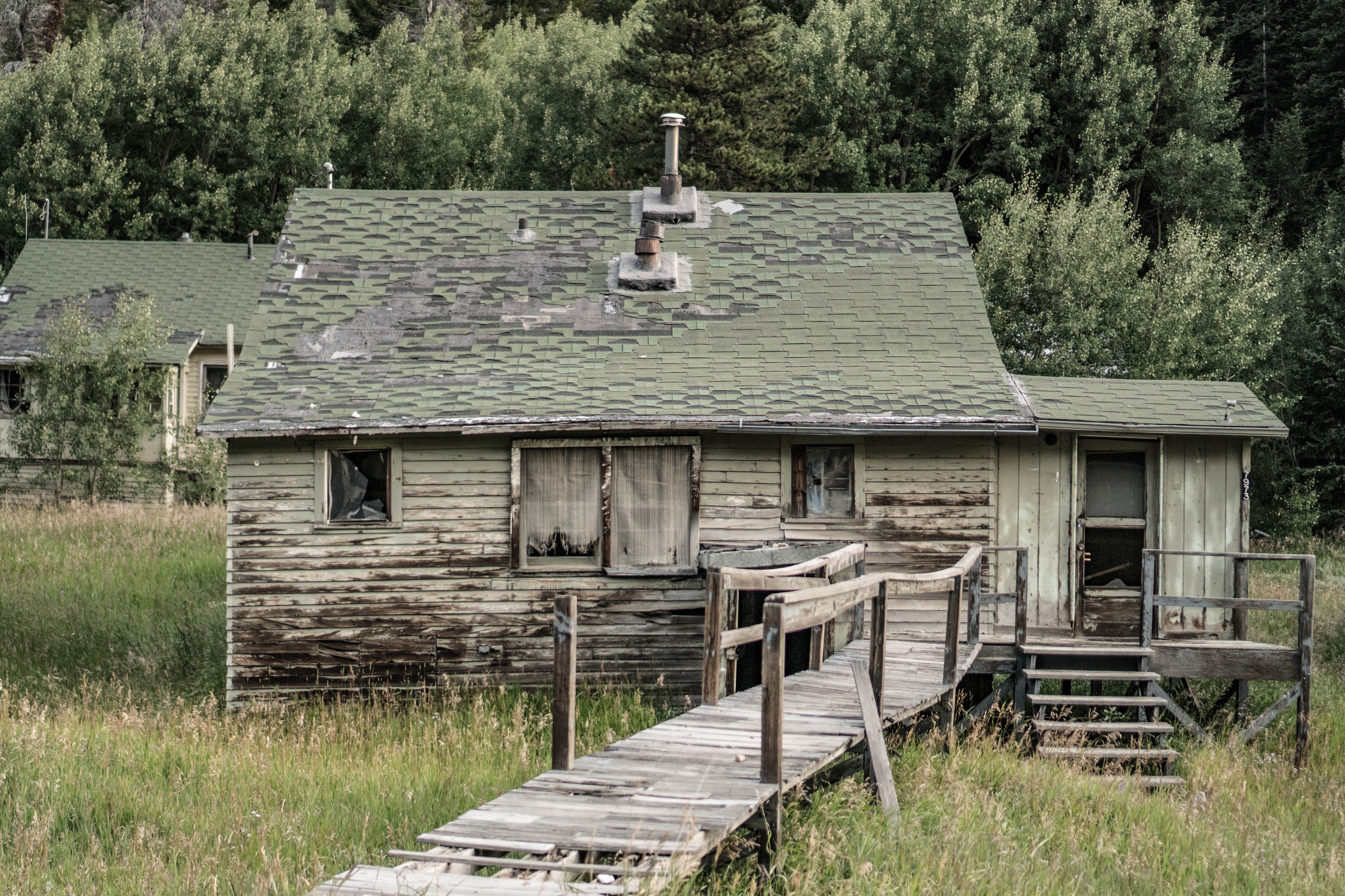 shack, no people, plant, shed, building exterior, field, wooden, bungalow, rural, green color, barn, 5K, forest, stairs, rustic, outdoors, growth, abandoned, HD Wallpaper