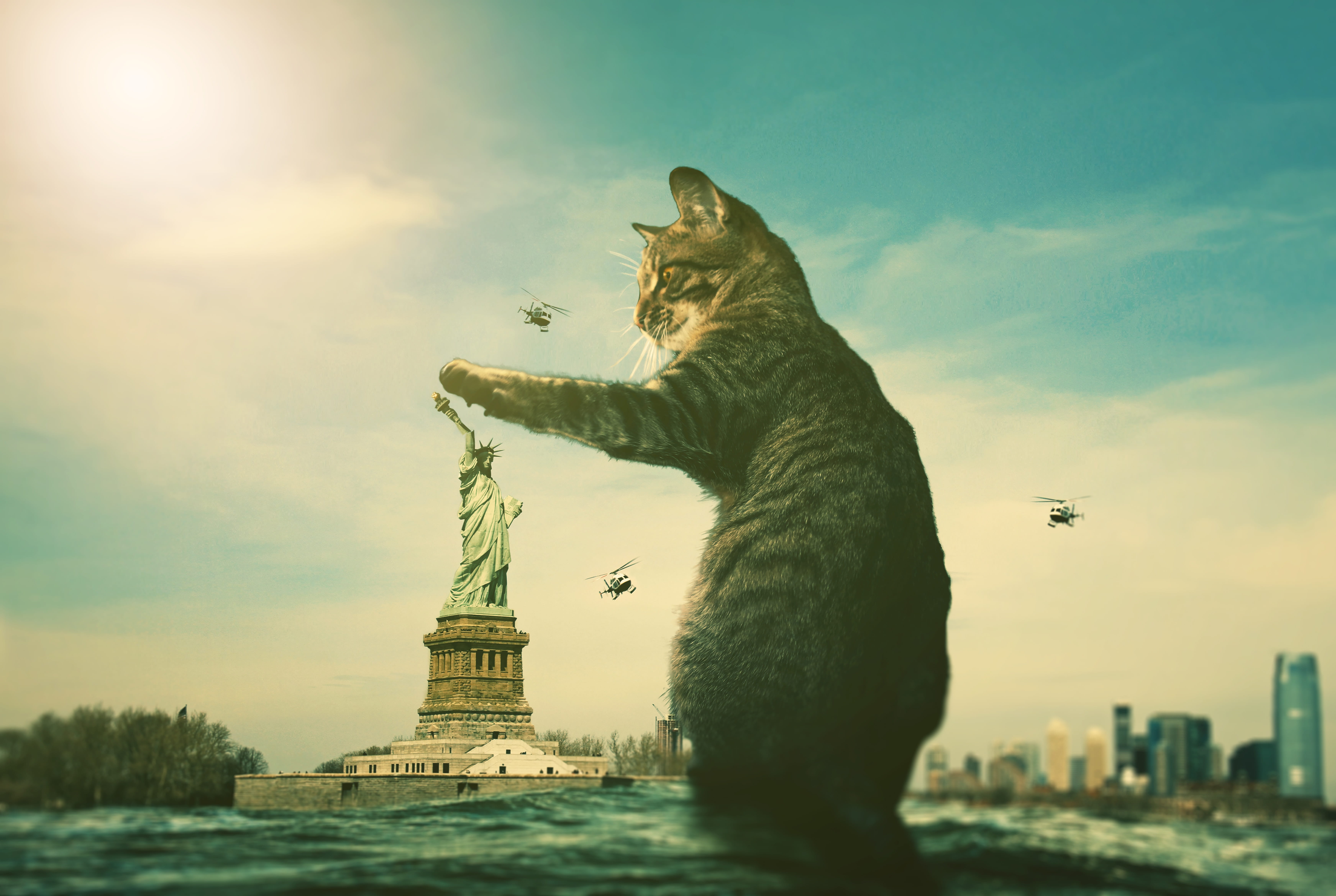 outdoors, cat, domestic animals, no people, fun, architecture, sky, surreal, city, scene, domestic cat, lighting, one animal, toys, funny, mammal, composing, HD Wallpaper