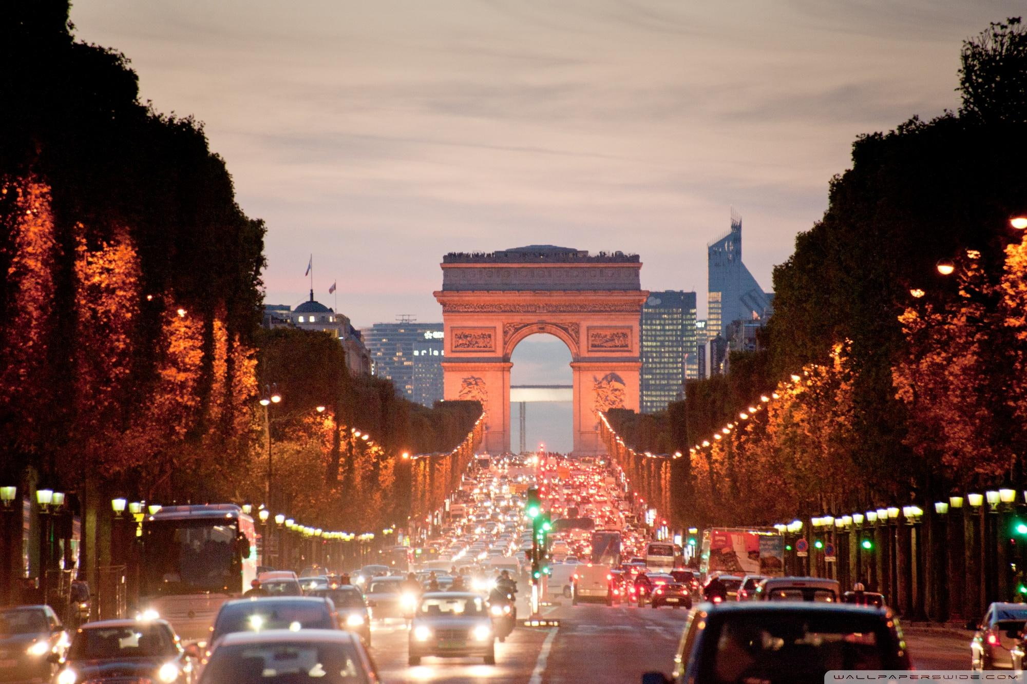 mileny, 1080P, elysee, monarch, yasmina72, avenue, purple-haze, nature and landscapes, des, champs, HD Wallpaper