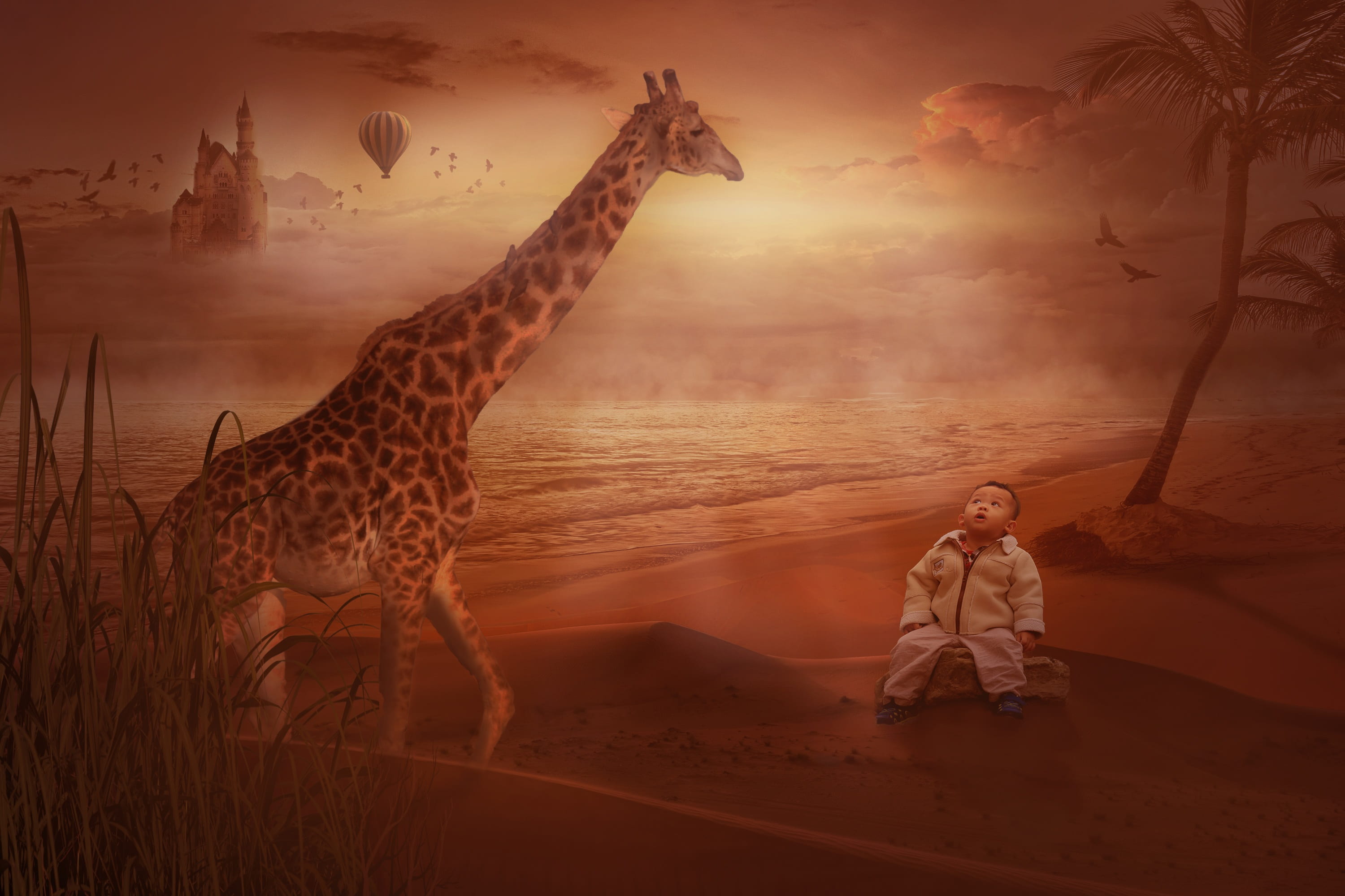 fantasy picture, dream, sunset, digital photo montage, castle, vertebrate, people, sky, fantasy, balloon, one animal, composing, red, beauty in nature, HD Wallpaper